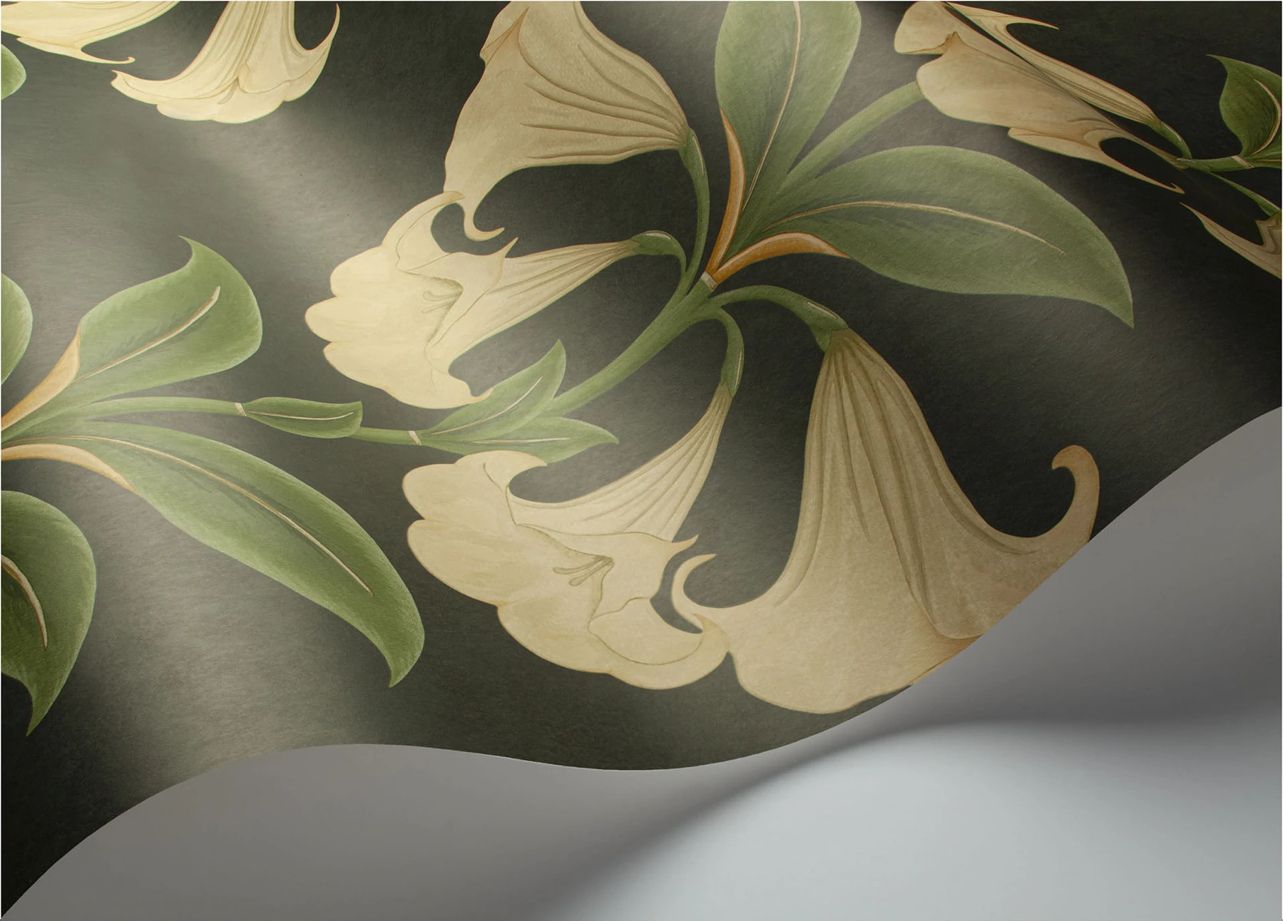 Angel's Trumpet Tapete - 117/3006 - Cole&Son - Seville-117-3006-Cole&Son-Seville Angel's Trumpet Tapete - 117/3006 - Cole&Son - Seville von Cole&Son aus der Kategorie Seville mit der Artikelnummer 117-3006