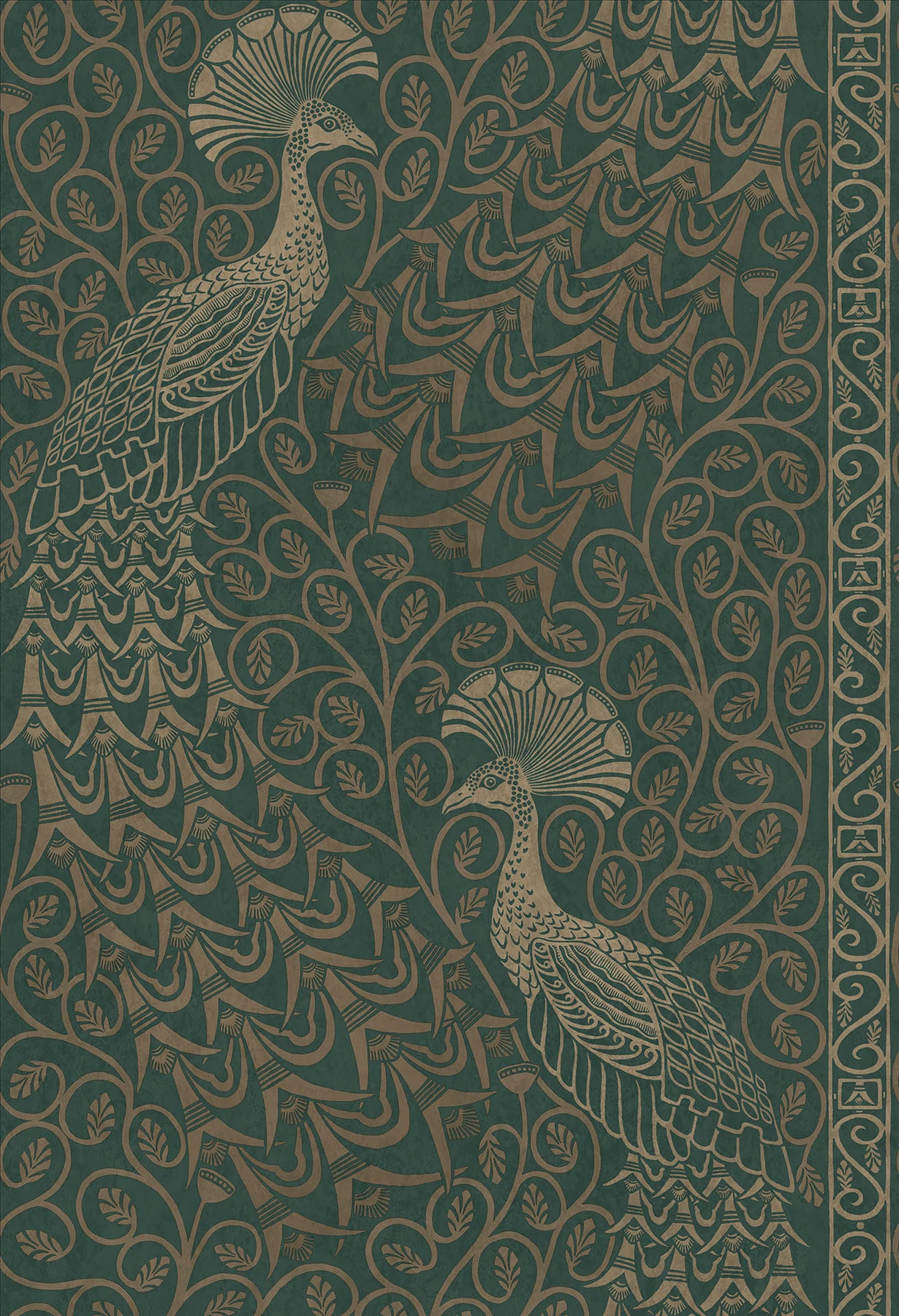 Pavo Parade Tapete - 116/8031 - Cole&Son - The Pearwood Collection von Cole&Son aus der Kategorie The Pearwood Collection mit der Artikelnummer 116-8031