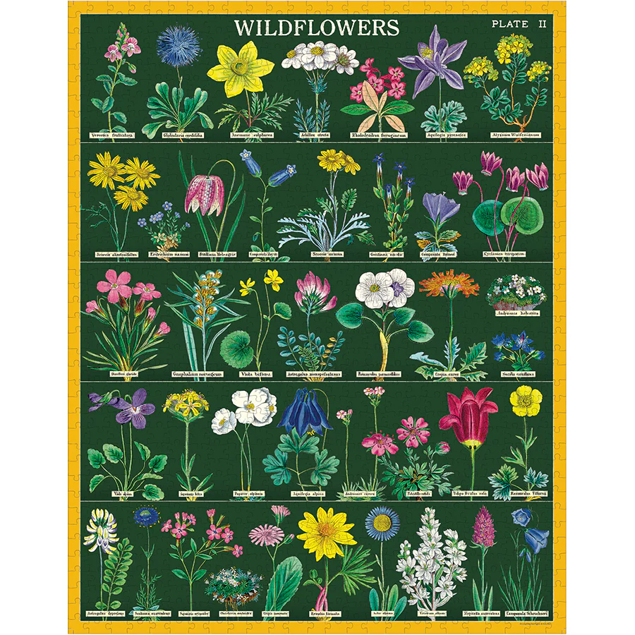 Wildflowers II - Vintage Puzzle von Cavallini - 1.000 Teile Wildflowers II - Vintage Puzzle von Cavallini - 1.000 Teile