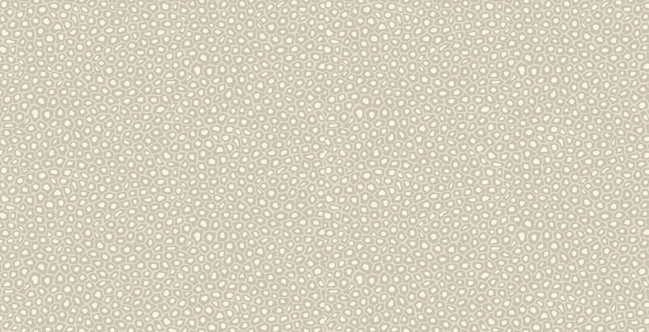 Senzo Spot Tapete - 109/6030 - Cole&Son - The Ardmore Collection von Cole&Son aus der Kategorie Ardmore mit der Artikelnummer 109-6030