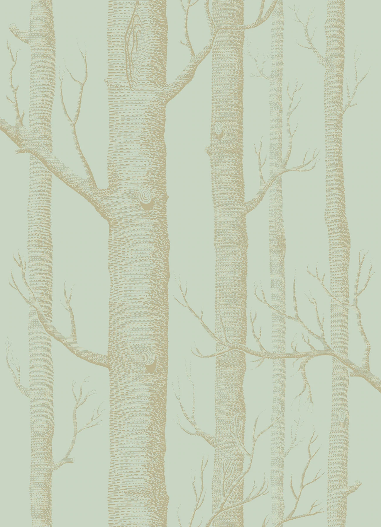 Woods Tapete - 103/5023 - Cole&Son - Whimsical von Cole&Son aus der Kategorie Whimsical mit der Artikelnummer 103-5023