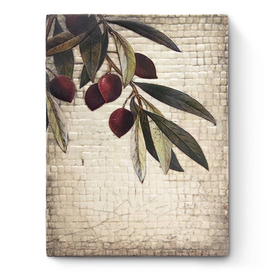 T603 - Olive Tree - Memory Block Sid Dickens von Sid Dickens aus der Kategorie 2023 - FALL mit der Artikelnummer T603