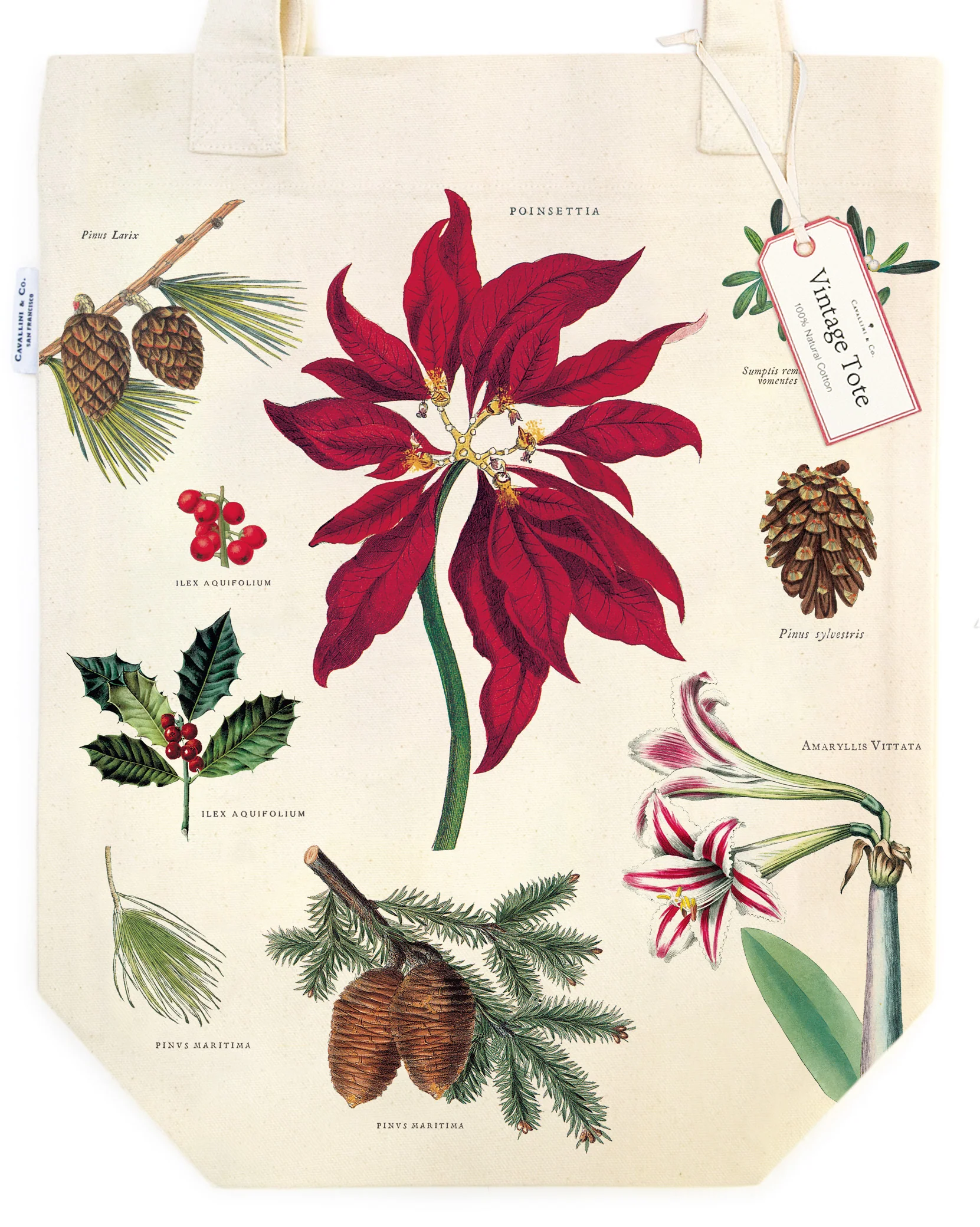 Christmas Botanica - Vintage Baumwoll-Tragetasche von Cavallini Christmas Botanica - Vintage Baumwoll-Tragetasche von Cavallini