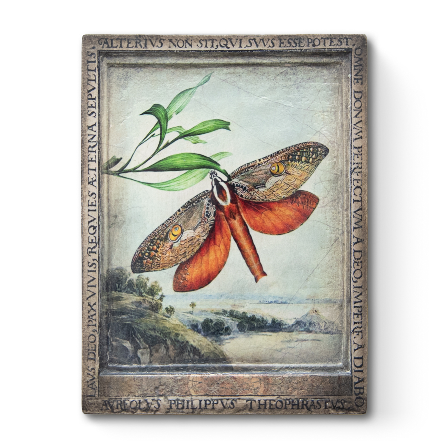 T567 - Identity - Memory Block Sid Dickens-T567-Sid Dickens-2022 - FALL T567 - Identity - Memory Block Sid Dickens von Sid Dickens aus der Kategorie 2022 - FALL mit der Artikelnummer T567