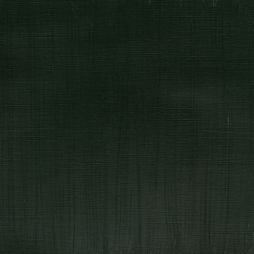 311 - Hooker's Green - 60ml Professional Acrylic von Winsor&Newton - S3