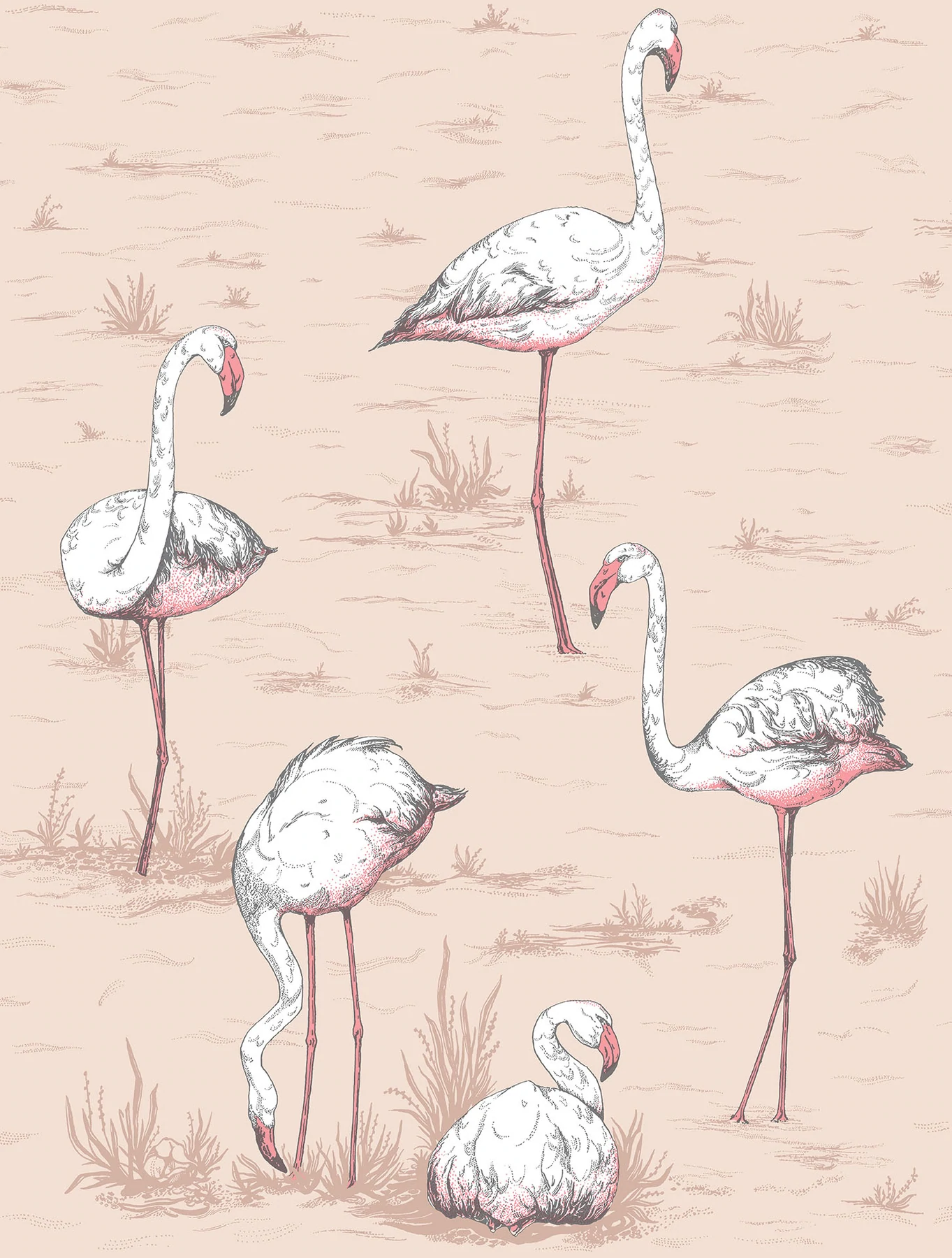 Flamingos Tapete - 112/11039 - Cole&Son - Icons von Cole&Son aus der Kategorie Icons mit der Artikelnummer 112-11039