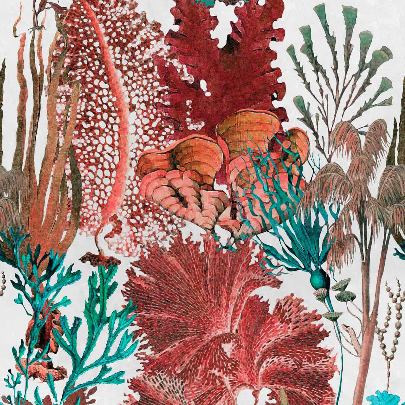 Tapete CORAL REEF