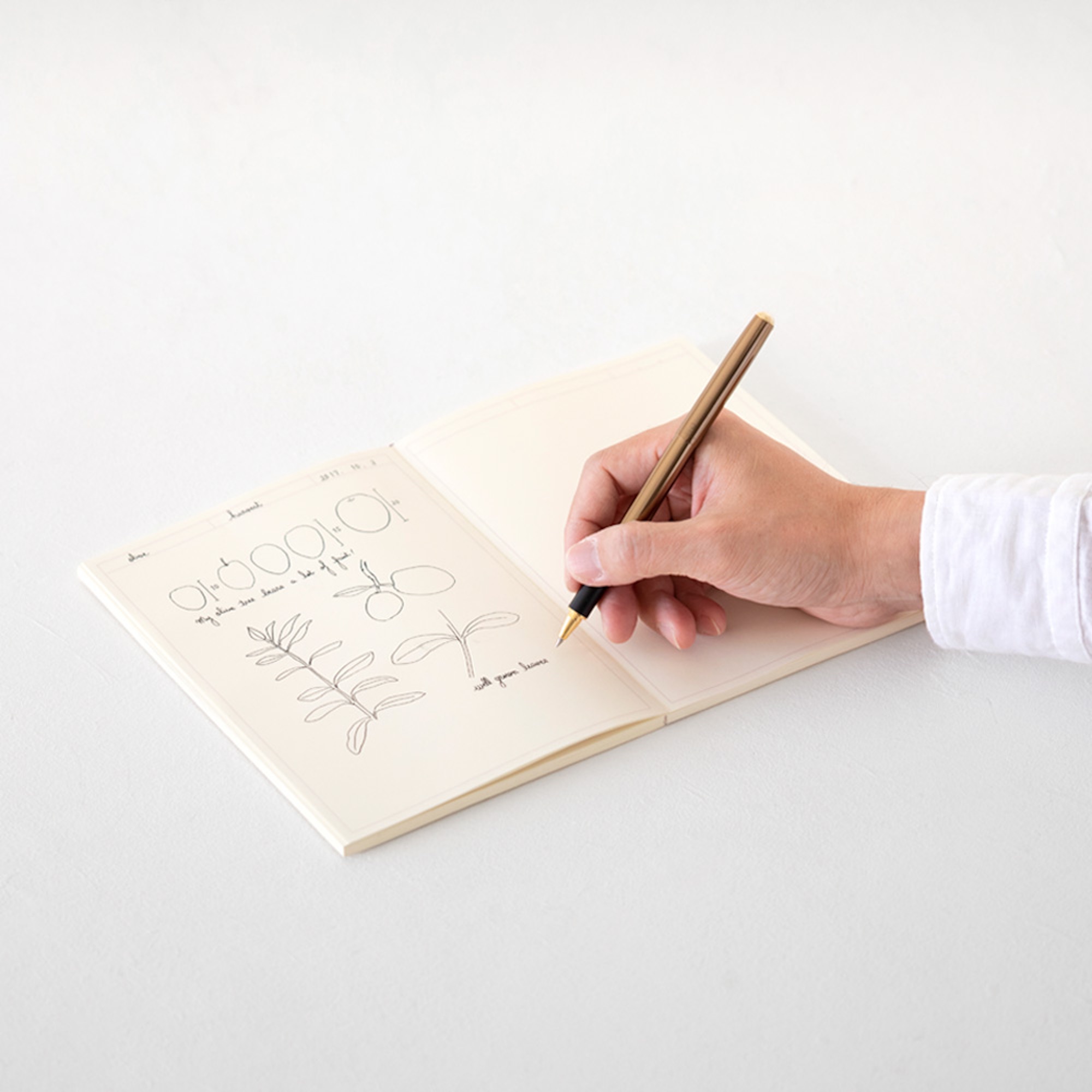 MD Notebook Journal - A5 - Frame - Midori Notizbuch-15309006-Midori Japan-MD Journal MD Notebook Journal - A5 - Frame - Midori Notizbuch von Midori Japan aus der Kategorie MD Journal mit der Artikelnummer 15309006