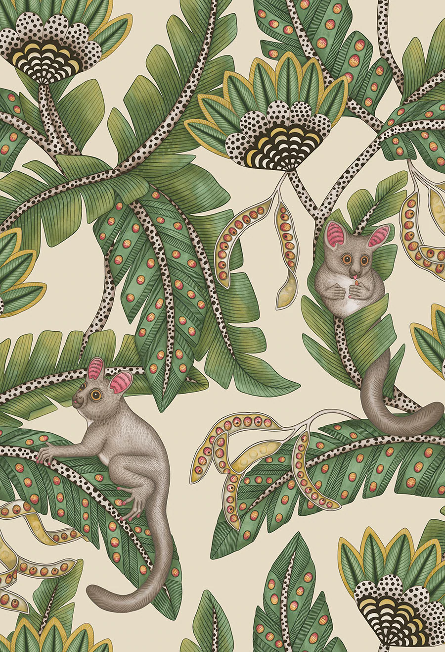 Bush Baby Tapete - 119/7035 - Cole&Son - Ardmore - Jabula-119-7035-Cole&Son-Ardmore Jabula Bush Baby Tapete - 119/7035 - Cole&Son - Ardmore - Jabula von Cole&Son aus der Kategorie Ardmore Jabula mit der Artikelnummer 119-7035