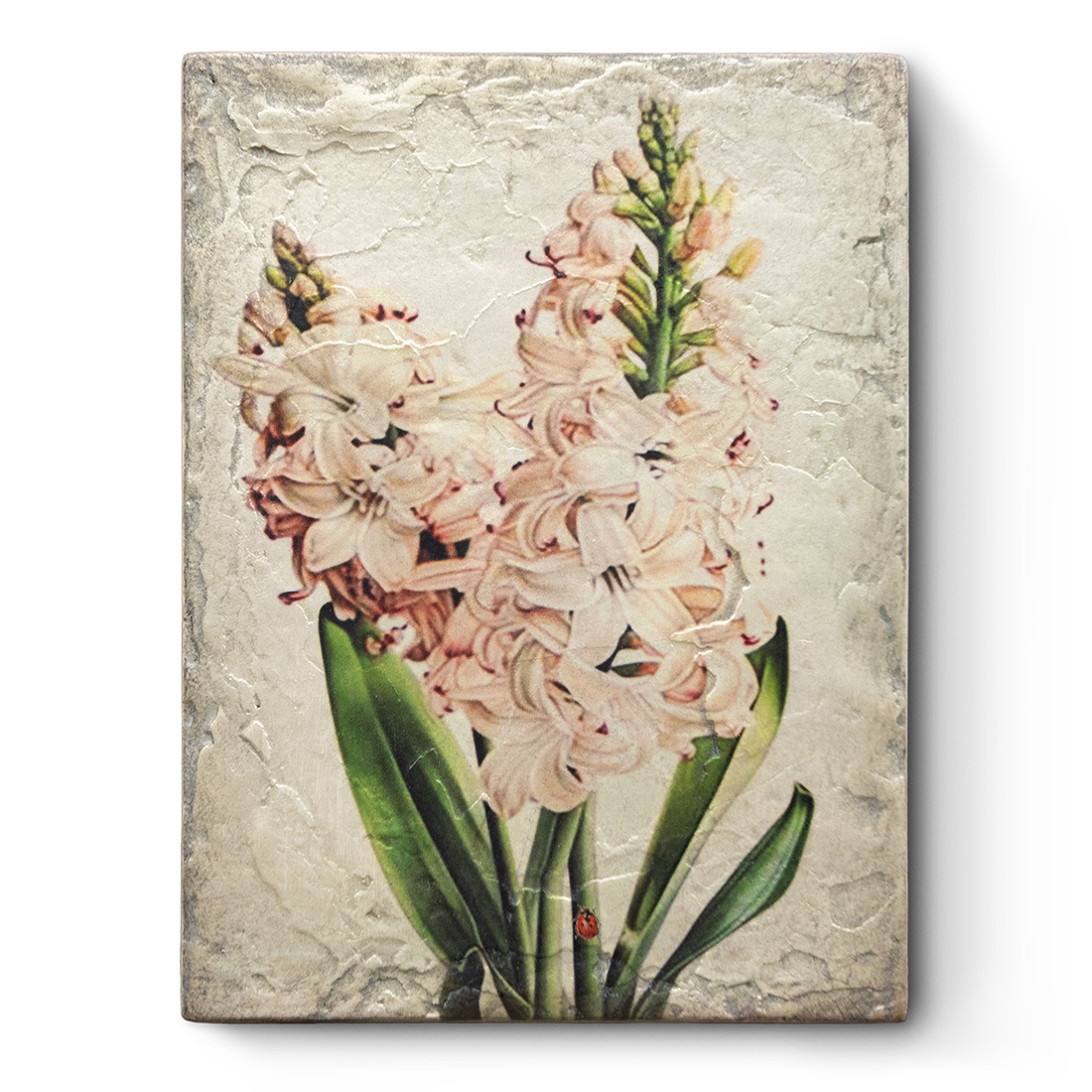 T636 - Hyacinth - Memory Block Sid Dickens von Sid Dickens aus der Kategorie 2024 Spring Collection mit der Artikelnummer T636