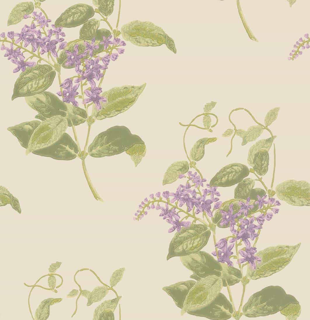 Madras Violet Tapete - 100/12056 - Cole&Son - Archive Anthology von Cole&Son aus der Kategorie Archive Anthology mit der Artikelnummer 100-12056