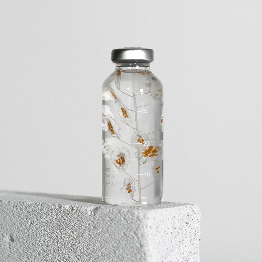 Gewöhnliches Hirtentäschel - Herbarium Slow Pharmacy - 30 ml-SPS_024-Slow Pharmacy-Slow Pharmacy Gewöhnliches Hirtentäschel - Herbarium Slow Pharmacy - 30 ml von Slow Pharmacy aus der Kategorie Slow Pharmacy mit der Artikelnummer SPS_024