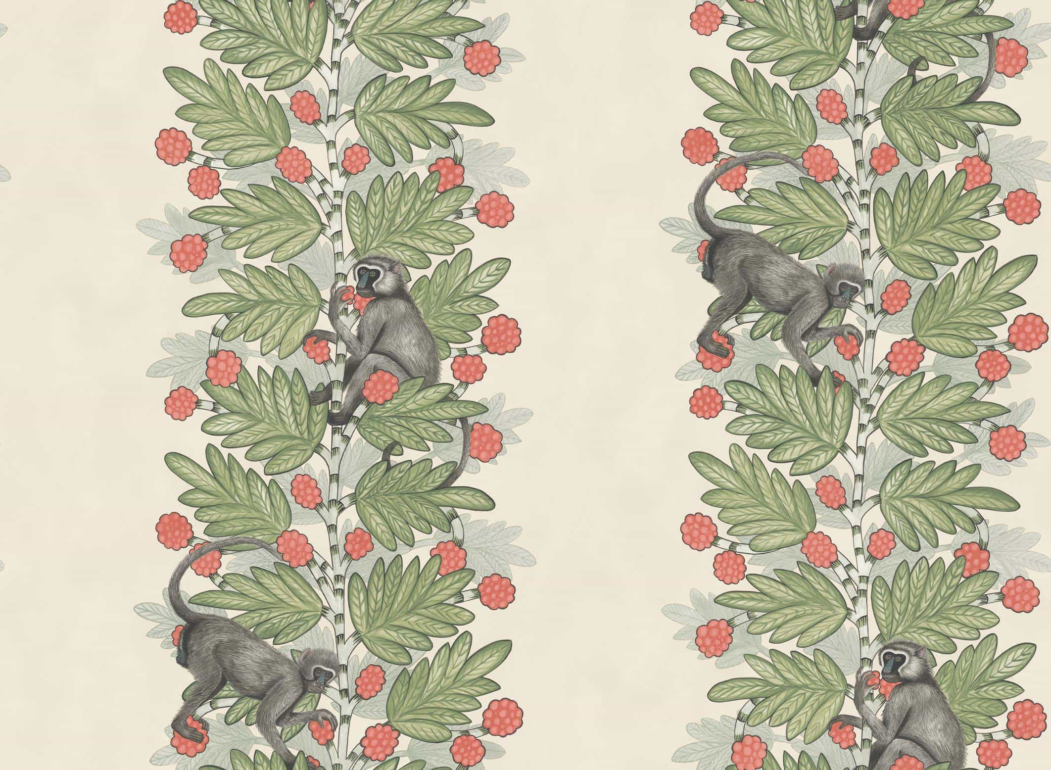 Acacia Tapete - 109/11051 - Cole&Son - The Ardmore Collection-109-11051-Cole&Son-Ardmore Acacia Tapete - 109/11051 - Cole&Son - The Ardmore Collection von Cole&Son aus der Kategorie Ardmore mit der Artikelnummer 109-11051