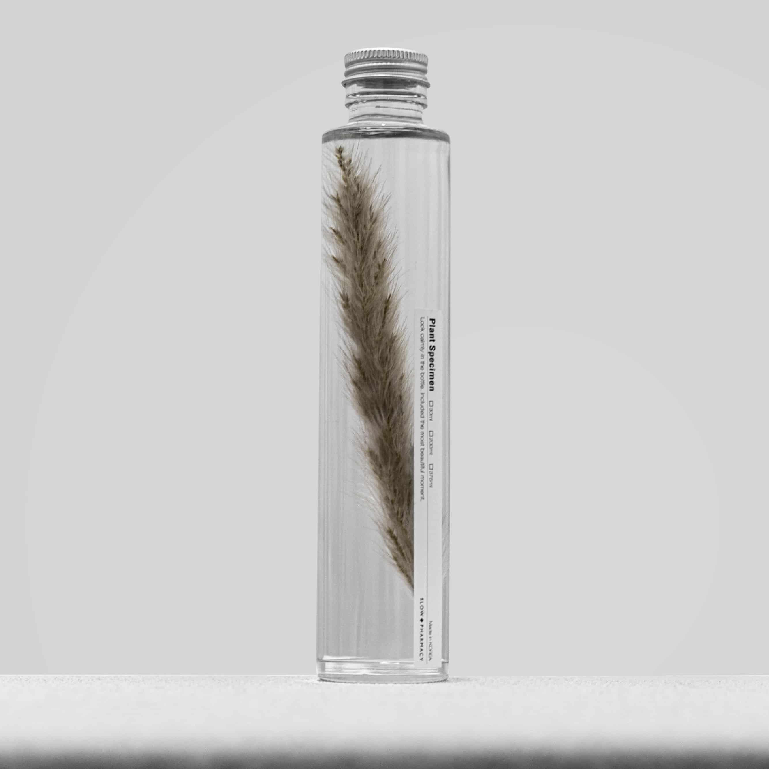 Afrikanisches Lampenputzergras - Herbarium Slow Pharmacy - 200 ml-SPM_026-Slow Pharmacy-Slow Pharmacy Afrikanisches Lampenputzergras - Herbarium Slow Pharmacy - 200 ml von Slow Pharmacy aus der Kategorie Slow Pharmacy mit der Artikelnummer SPM_026