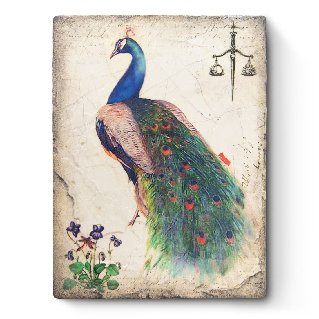 T597 - Peacock - Memory Block Sid Dickens von Sid Dickens aus der Kategorie 2023 - Paradise mit der Artikelnummer T597