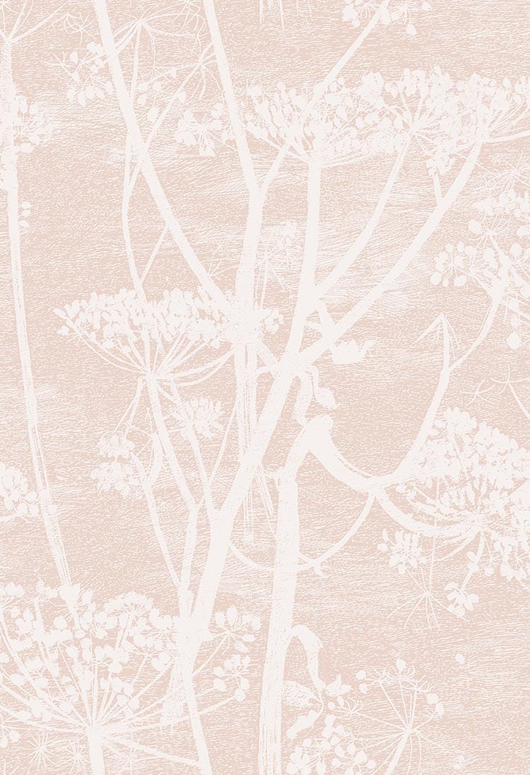 Cow Parsley Tapete - 112/8028 - Cole&Son - Icons