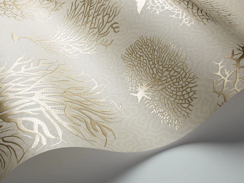 Seafern Tapete - 107/2010 - Cole&Son - Curio von Cole&Son aus der Kategorie Curio mit der Artikelnummer 107-2010