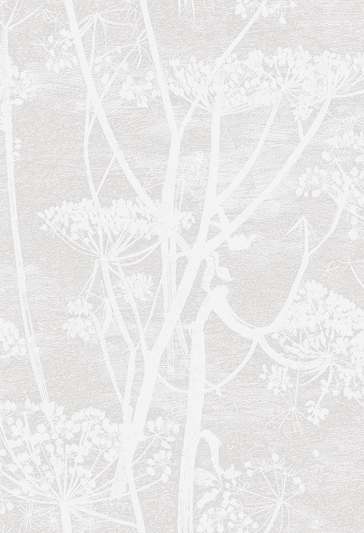 Cow Parsley Tapete - 112/8027 - Cole&Son - Icons