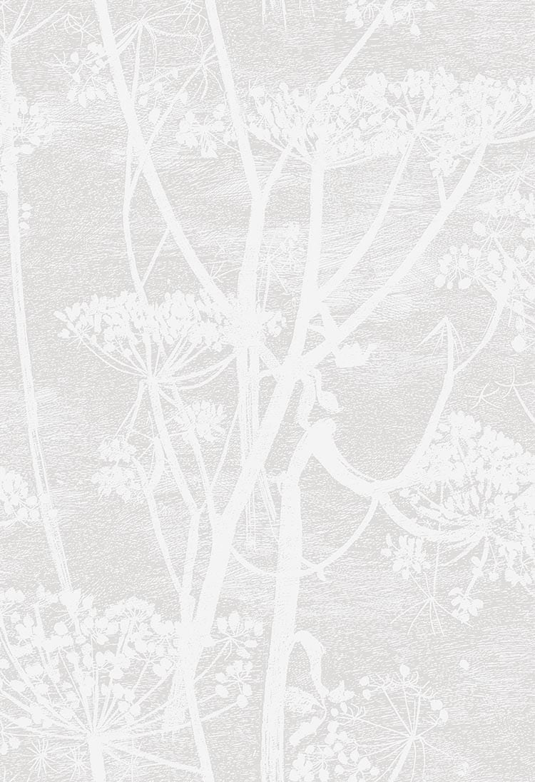 Cow Parsley Tapete - 112/8027 - Cole&Son - Icons von Cole&Son aus der Kategorie Icons mit der Artikelnummer 112-8027