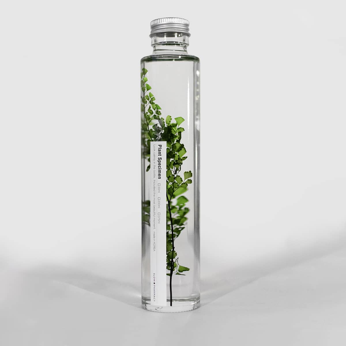 Adiantum tenerum - Herbarium Slow Pharmacy - 200 ml