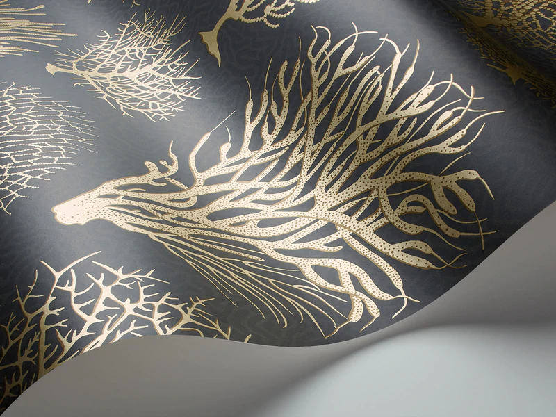 Seafern Tapete - 107/2006 - Cole&Son - Curio von Cole&Son aus der Kategorie Curio mit der Artikelnummer 107-2006