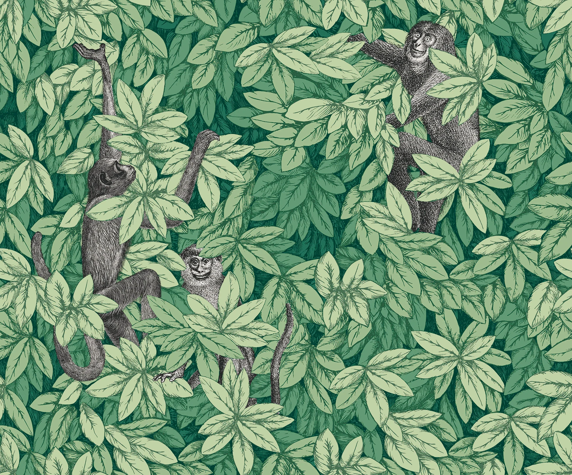 Foglie e Scimmie Tapete - 123/10049 - Forest Green - Cole&Son - Fornasetti Senza Tempo II-123-10049-Cole&Son-Fornasetti Senza Tempo II Foglie e Scimmie Tapete - 123/10049 - Forest Green - Cole&Son - Fornasetti Senza Tempo II von Cole&Son aus der Kategorie Fornasetti Senza Tempo II mit der Artikelnummer 123-10049