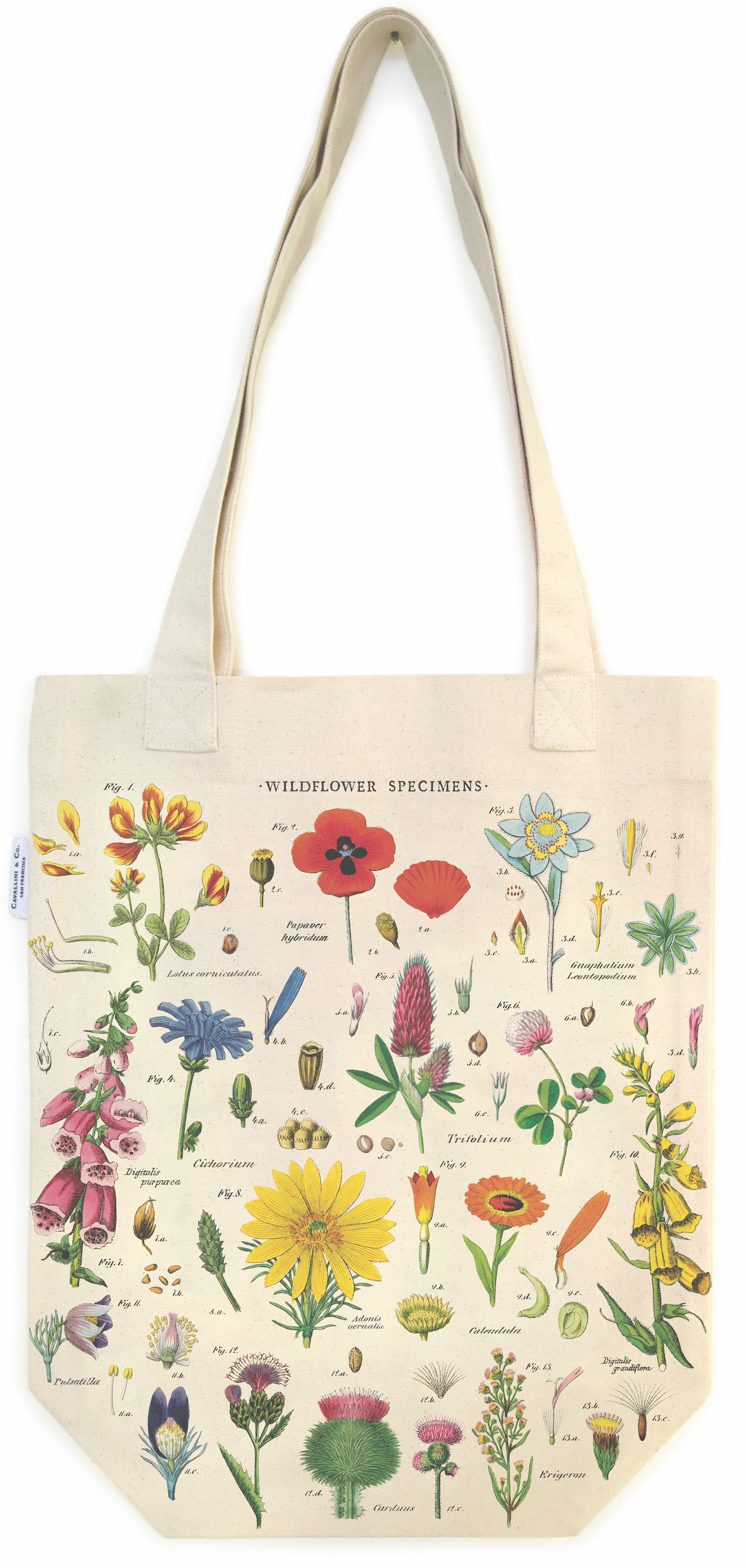 Wildflowers - Vintage Baumwoll-Tragetasche von Cavallini Wildflowers - Vintage Baumwoll-Tragetasche von Cavallini