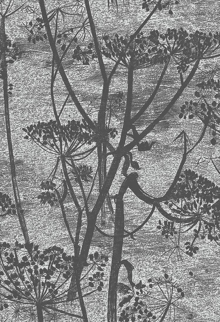 Cow Parsley Tapete - 112/8026 - Cole&Son - Icons-112-8026-Cole&Son-Icons Cow Parsley Tapete - 112/8026 - Cole&Son - Icons von Cole&Son aus der Kategorie Icons mit der Artikelnummer 112-8026