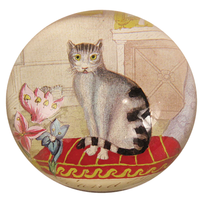 Cat - Briefbeschwerer - Dome Paperweight von John Derian von John Derian aus der Kategorie Paperweights - John Derian mit der Artikelnummer CDPCAT