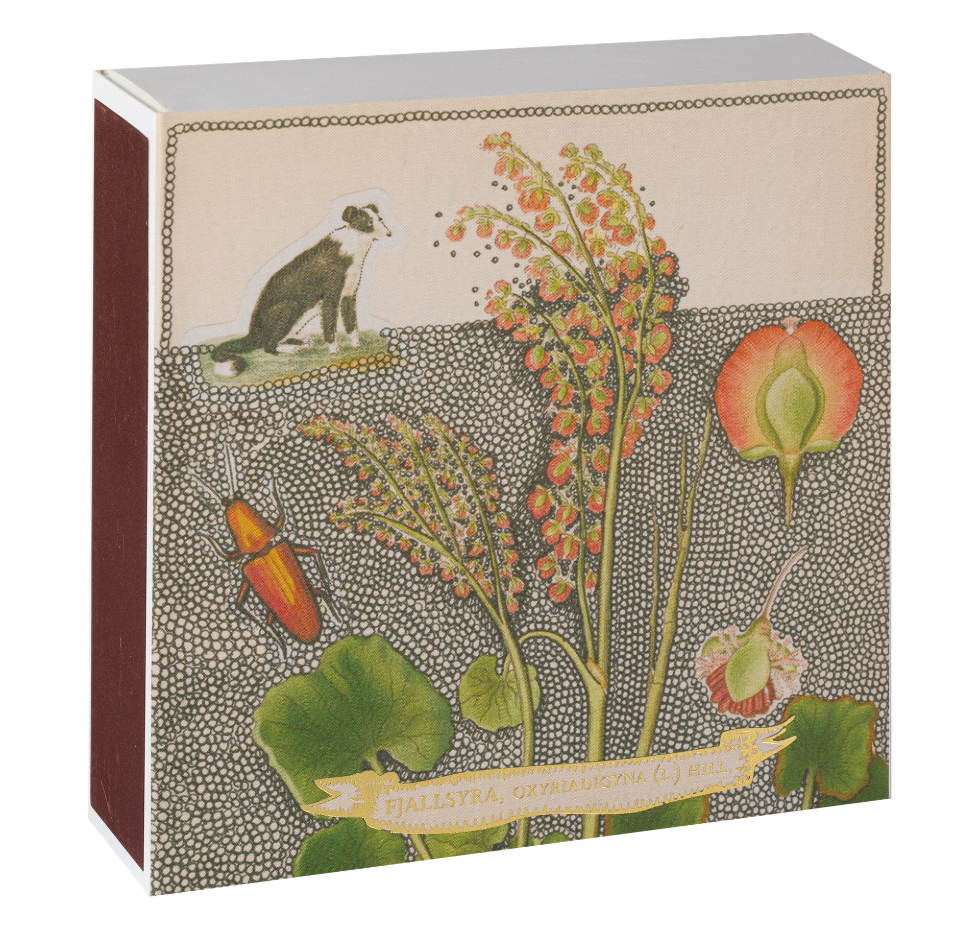 Streichhölzer "Chien Botanical Drawing"