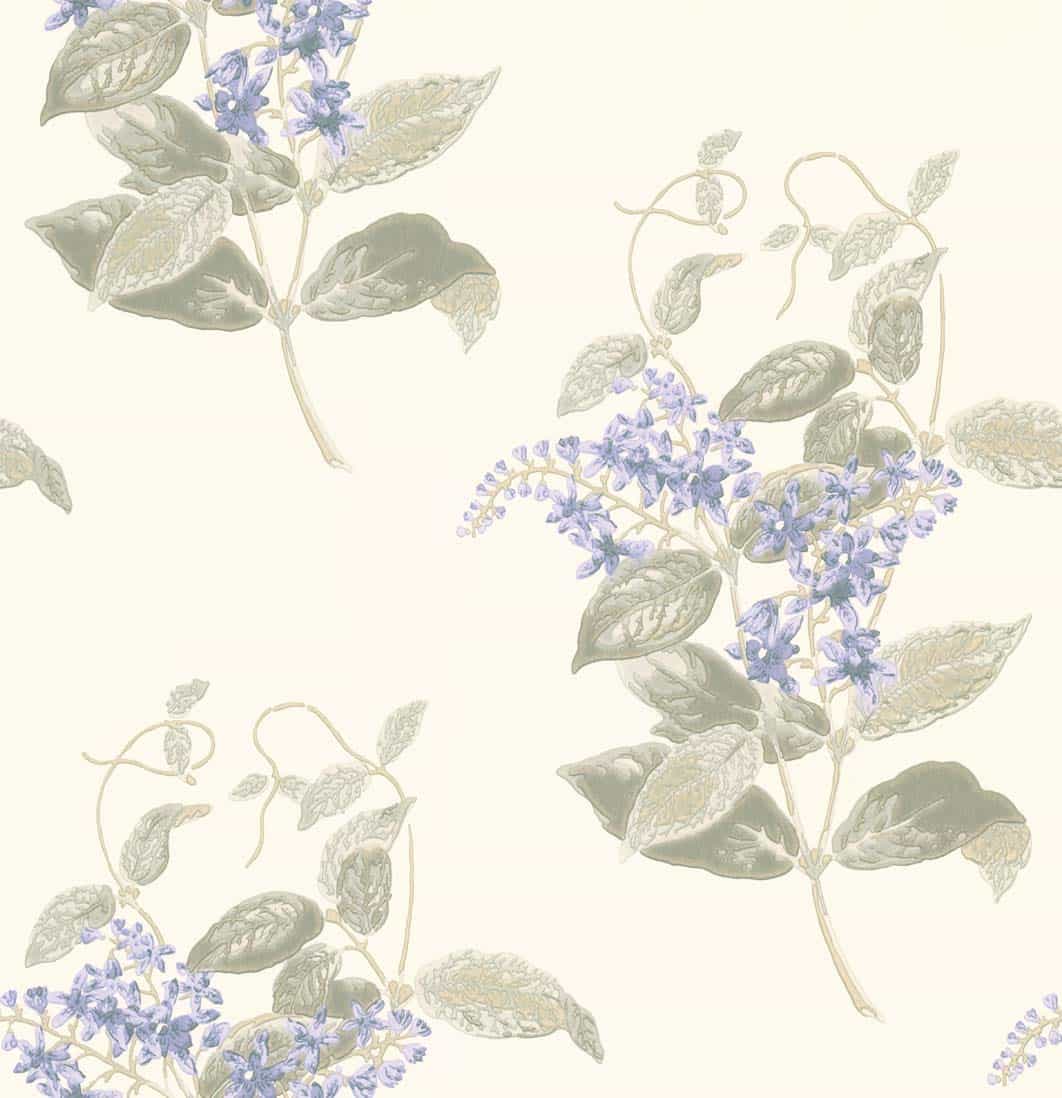 Madras Violet Tapete - 100/12057 - Cole&Son - Archive Anthology-100-12057-Cole&Son-Archive Anthology Madras Violet Tapete - 100/12057 - Cole&Son - Archive Anthology von Cole&Son aus der Kategorie Archive Anthology mit der Artikelnummer 100-12057