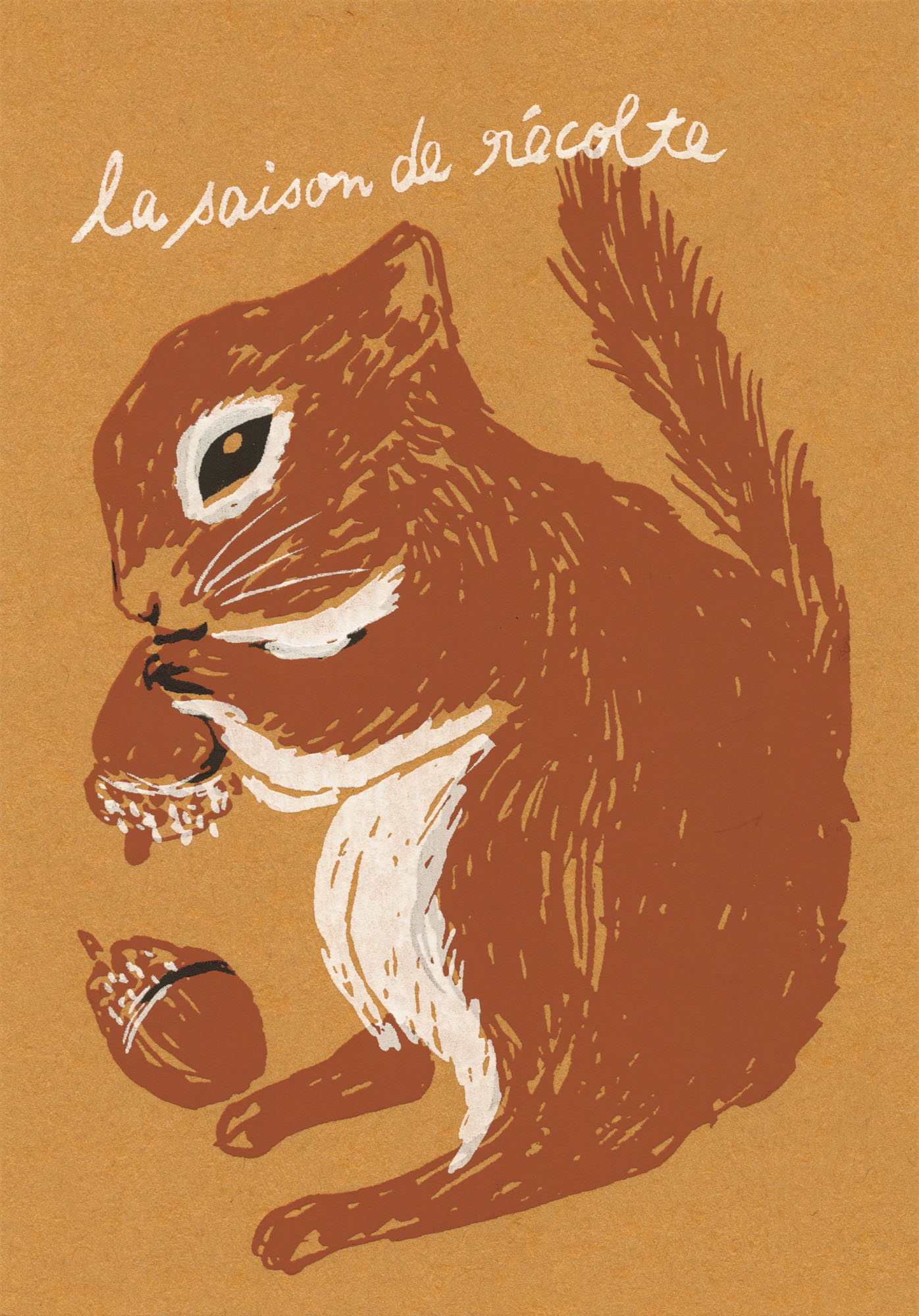 Eichhörnchen mit Nüssen - Siebdruck Postkarte von Dimanche