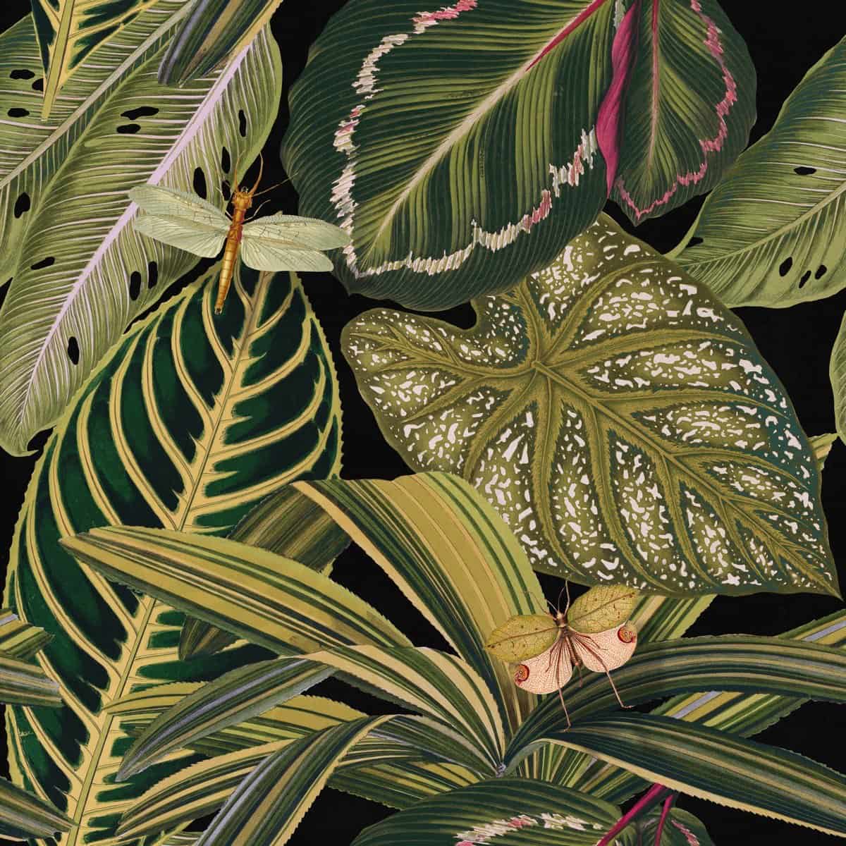 Tapete AMAZONIA - Mindthegap-WP20159-MINDTHEGAP-MIND THE GAP Tapete AMAZONIA - Mindthegap von MINDTHEGAP aus der Kategorie MIND THE GAP mit der Artikelnummer WP20159