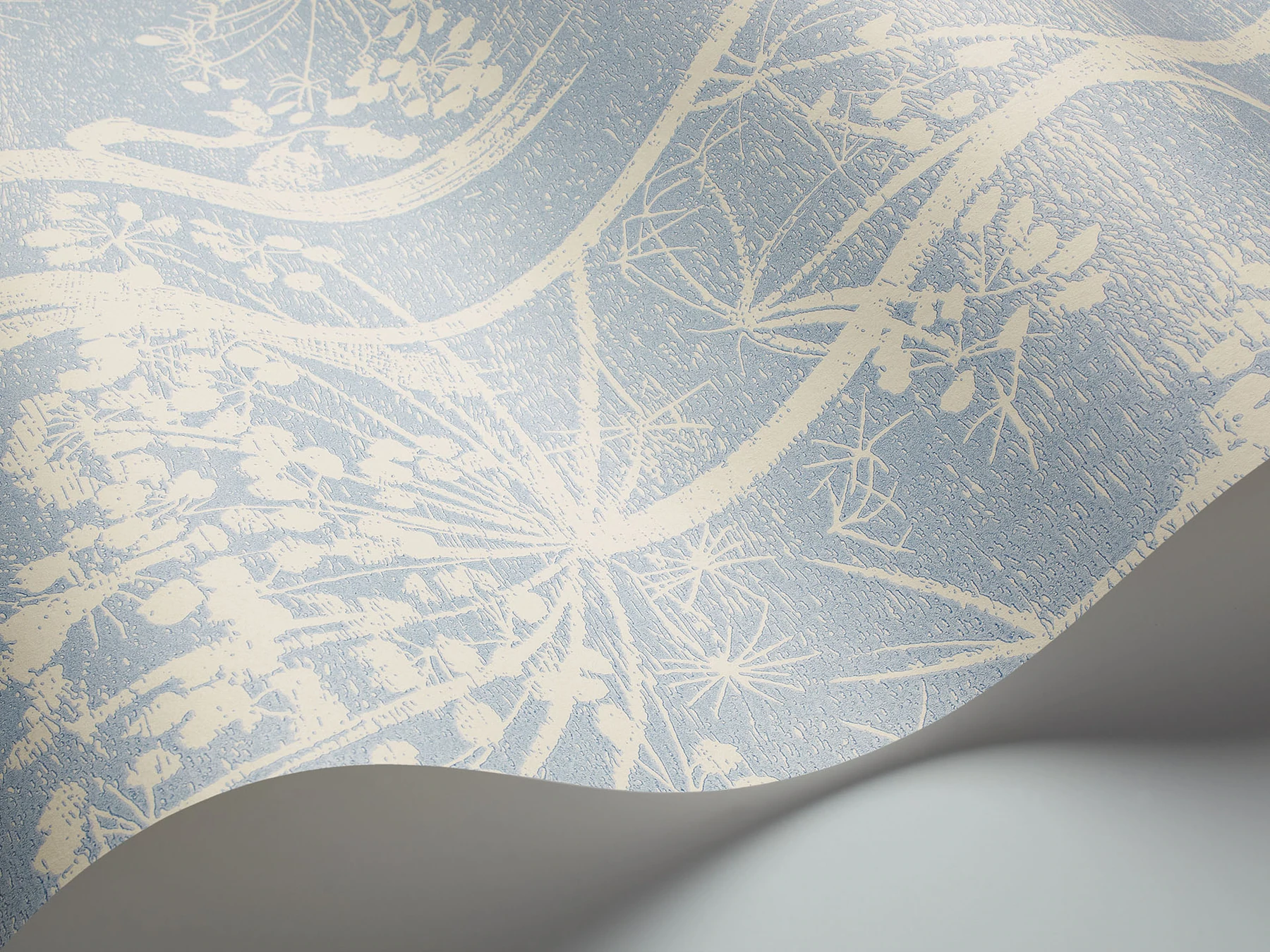 Cow Parsley Tapete - 66/7050 - Cole&Son - New Contemporary von Cole&Son aus der Kategorie The Contemporary Collection mit der Artikelnummer 66-7050