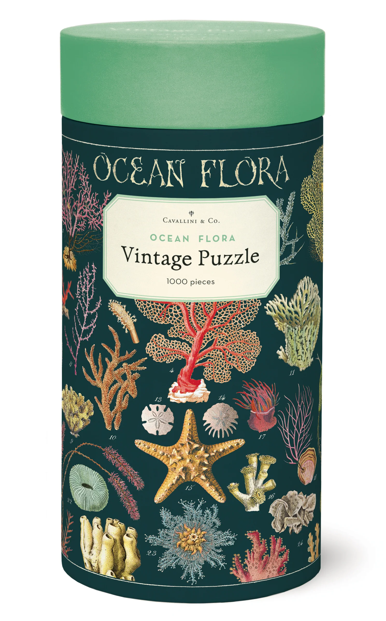 Ocean Flora - Vintage Puzzle von Cavallini - 1.000 Teile Ocean Flora - Vintage Puzzle von Cavallini - 1.000 Teile