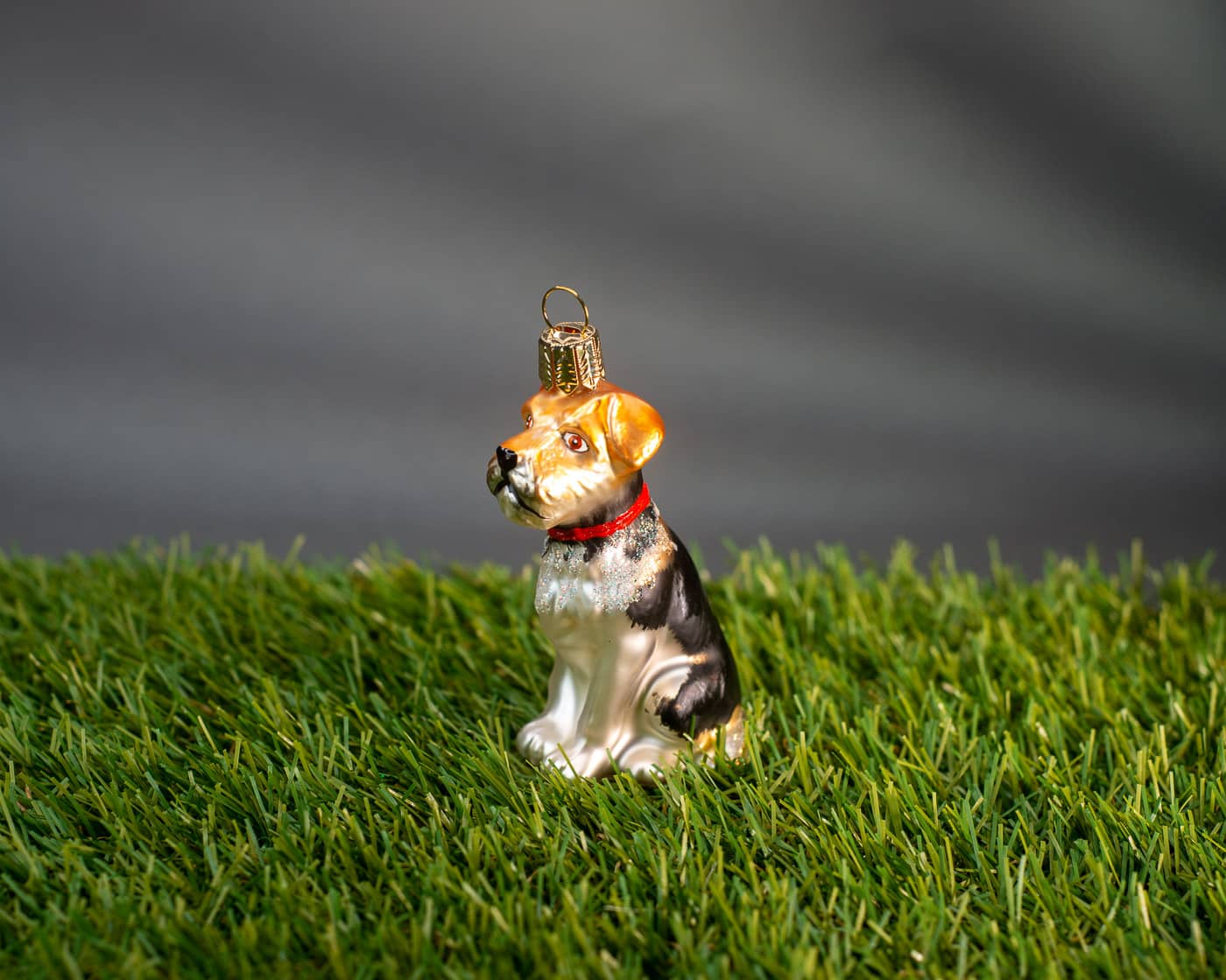 Foxterrier - Christbaumschmuck aus Glas von Weihnachtsland aus der Kategorie Christbaumschmuck mit der Artikelnummer OF23312