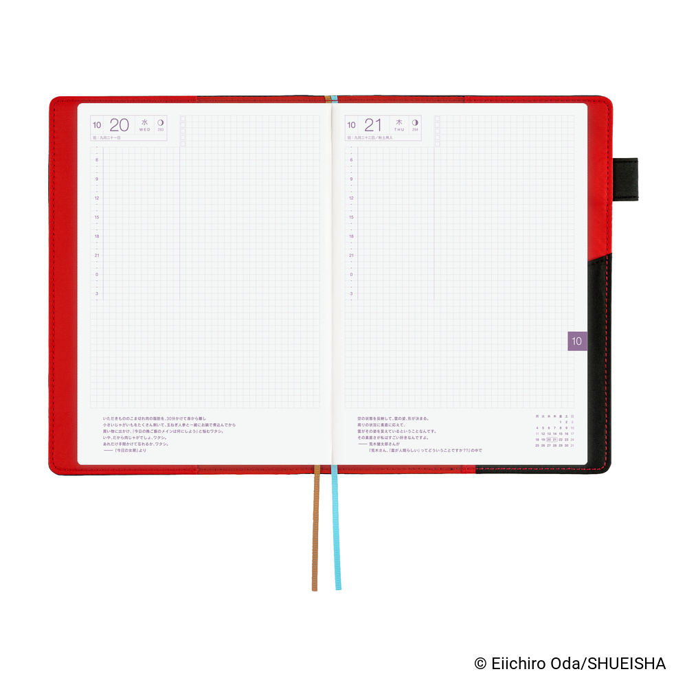 Hülle A5 Cousin – ONE PIECE magazine: Going Merry Go! | Hobonichi