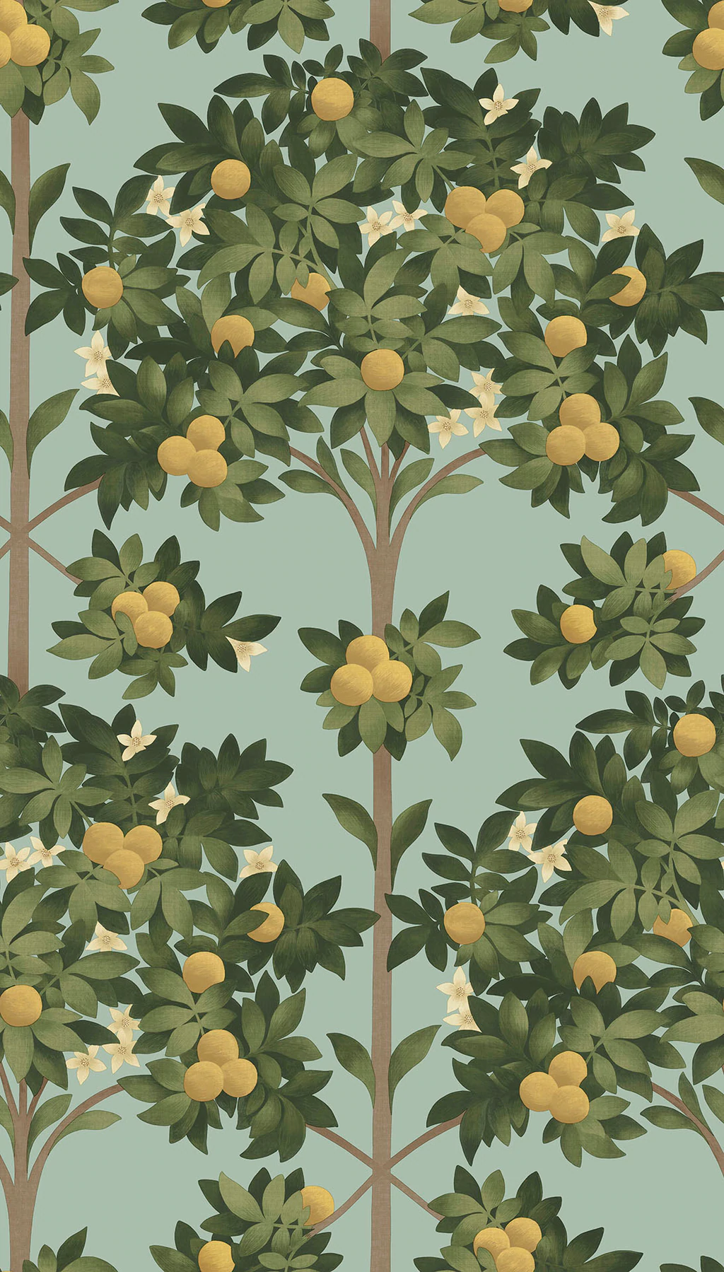Orange Blossom Tapete - 117/1002 - Cole&Son - Seville von Cole&Son aus der Kategorie Seville mit der Artikelnummer 117-1002