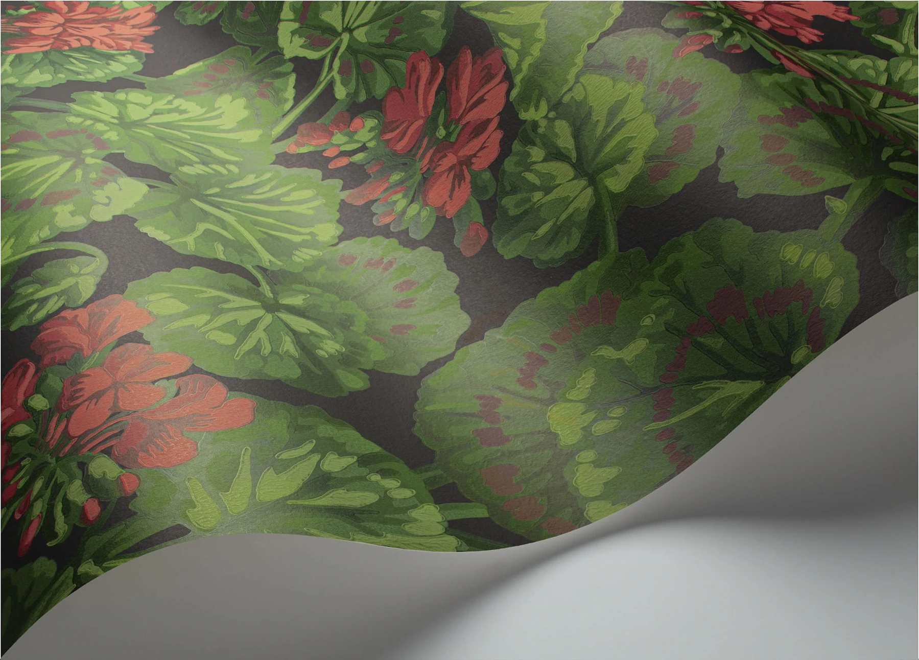 Geranium Tapete - 117/11033 - Cole&Son - Seville-117-11033-Cole&Son-Seville Geranium Tapete - 117/11033 - Cole&Son - Seville von Cole&Son aus der Kategorie Seville mit der Artikelnummer 117-11033
