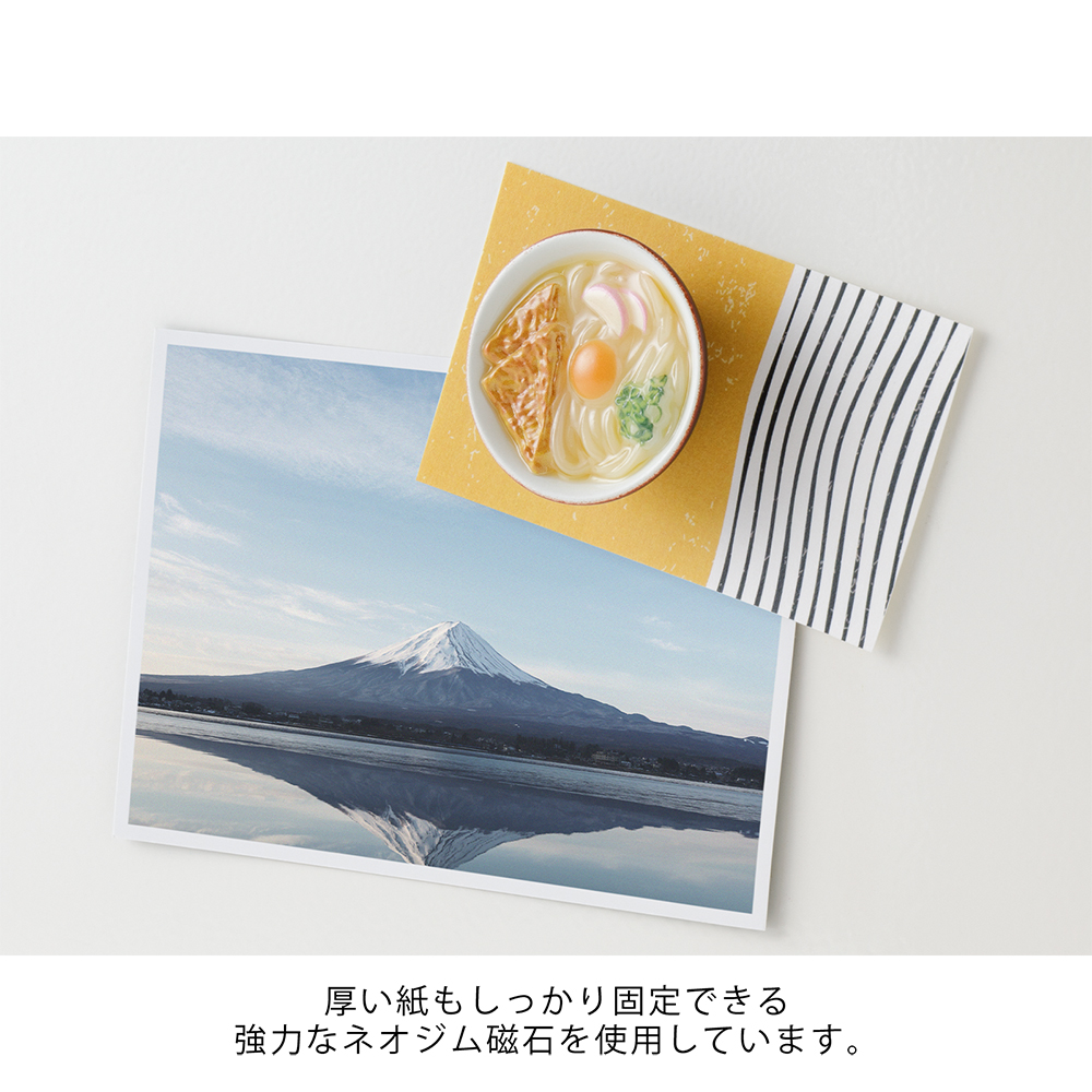 Sanuki Udon - Miniature Magnet von Midori