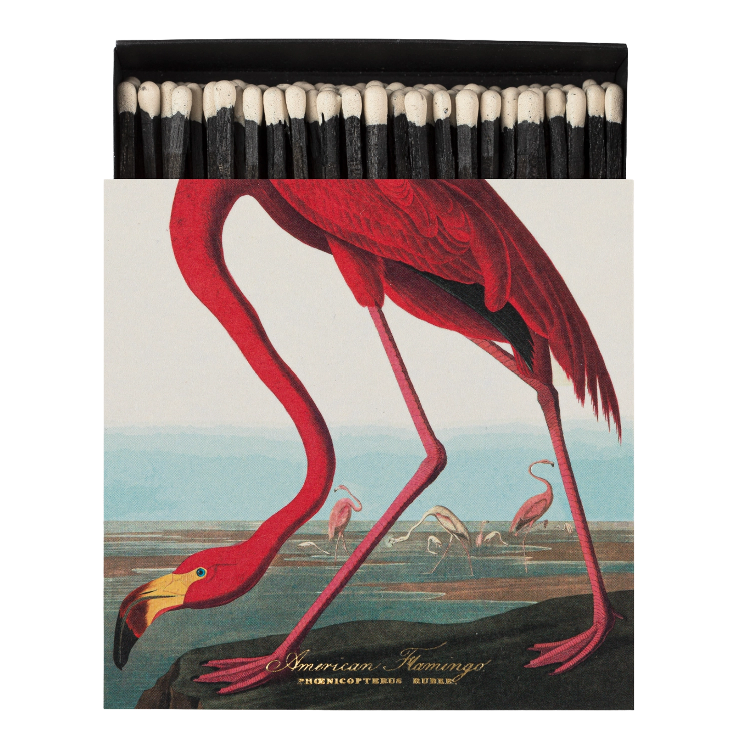 Streichhölzer "American Flamingo"