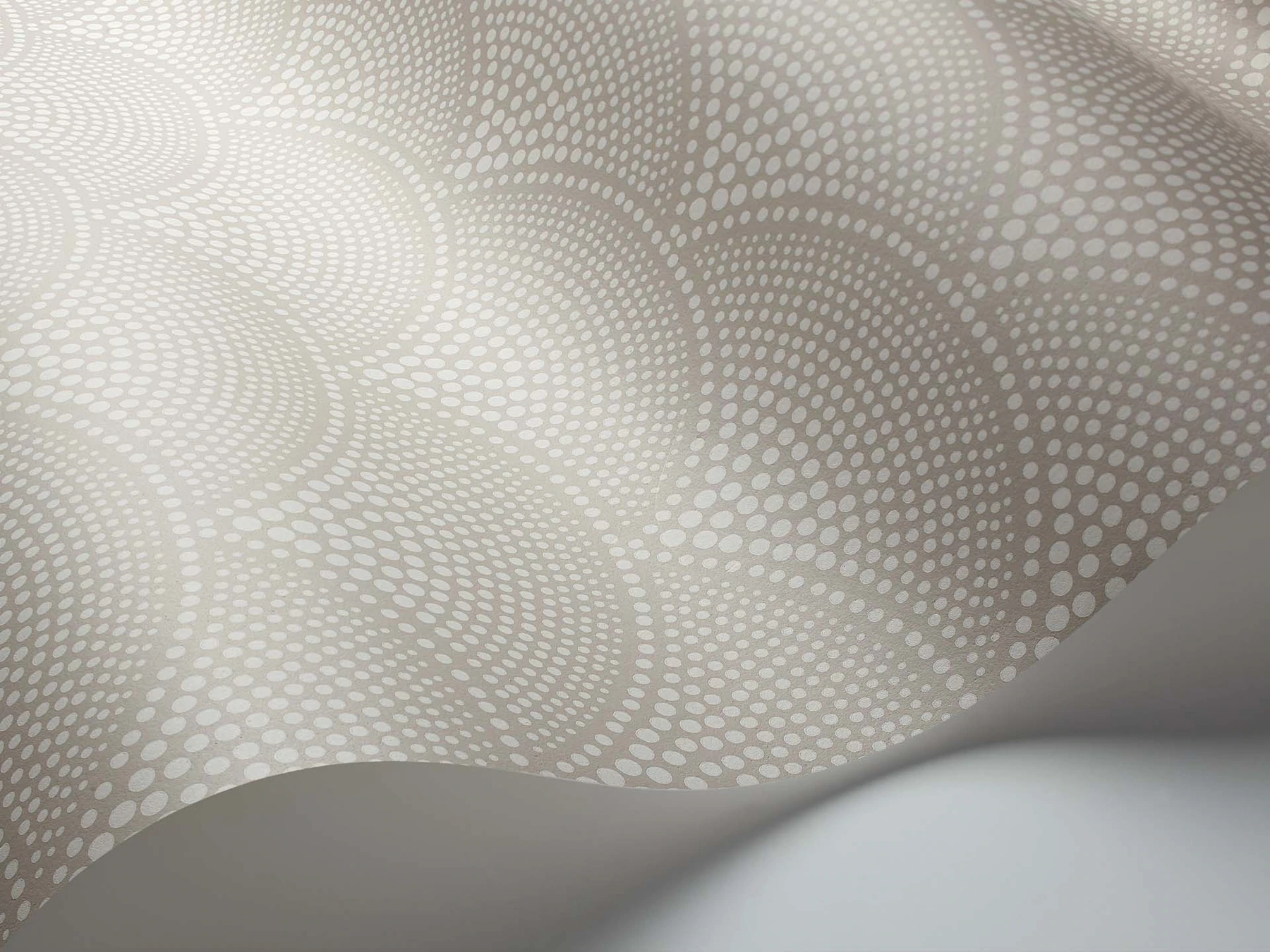 Feather Fan Tapete - 112/10034 - Cole&Son - Icons-112-10034-Cole&Son-Icons Feather Fan Tapete - 112/10034 - Cole&Son - Icons von Cole&Son aus der Kategorie Icons mit der Artikelnummer 112-10034