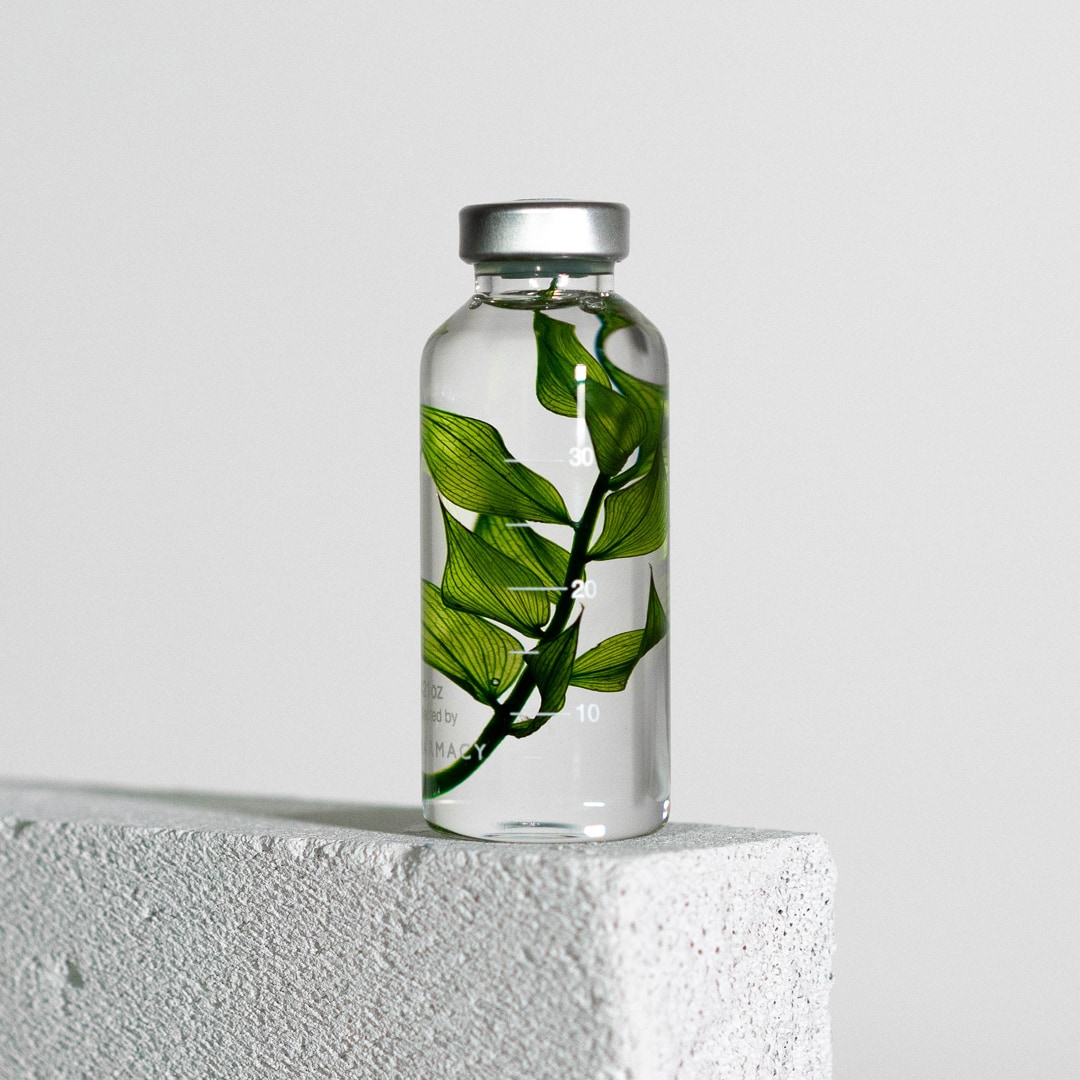 Stechender Mäusedorn - Herbarium Slow Pharmacy - 30 ml-SPS_010-Slow Pharmacy-Slow Pharmacy Stechender Mäusedorn - Herbarium Slow Pharmacy - 30 ml von Slow Pharmacy aus der Kategorie Slow Pharmacy mit der Artikelnummer SPS_010