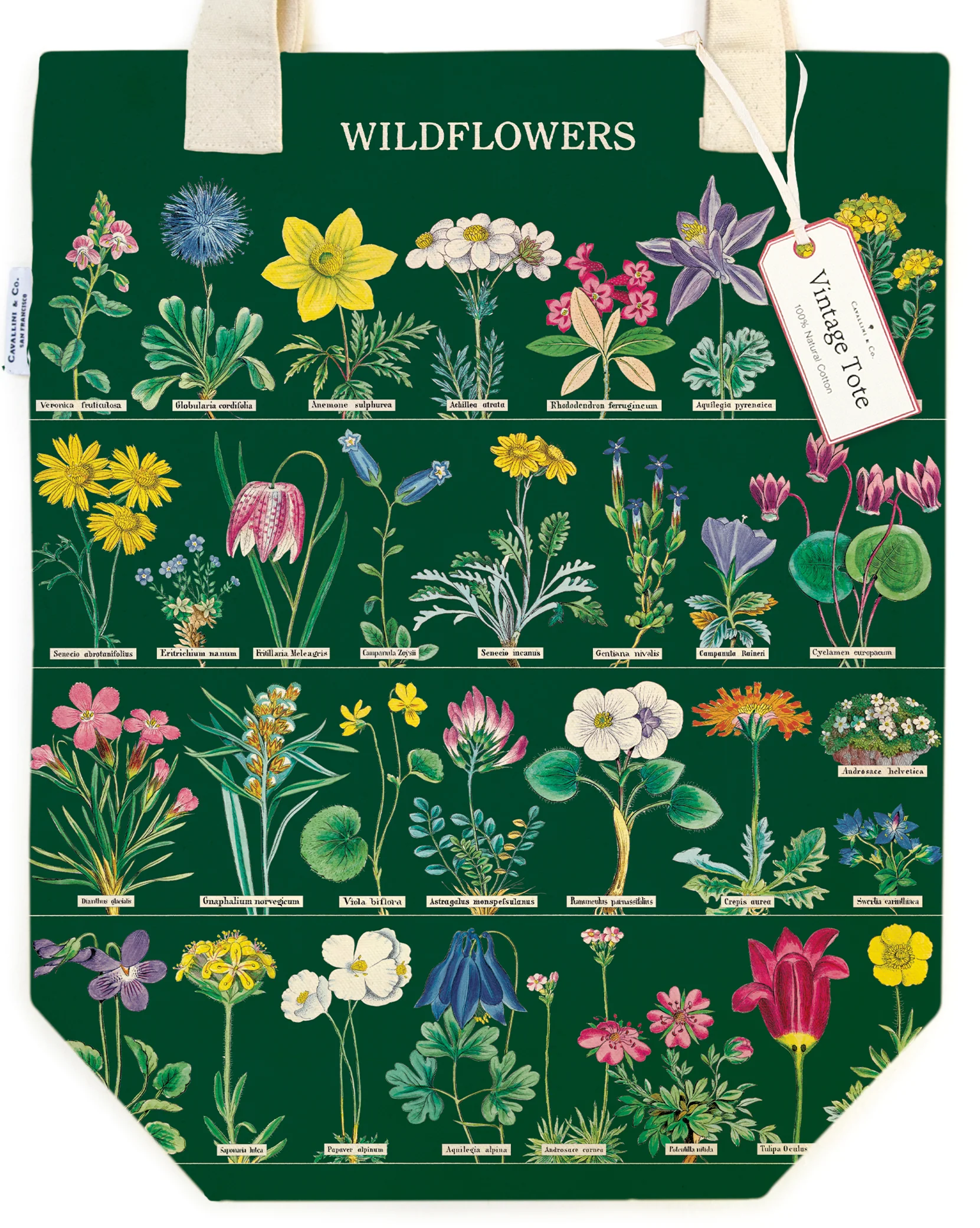 Wildflowers II - Vintage Baumwoll-Tragetasche von Cavallini Wildflowers II - Vintage Baumwoll-Tragetasche von Cavallini