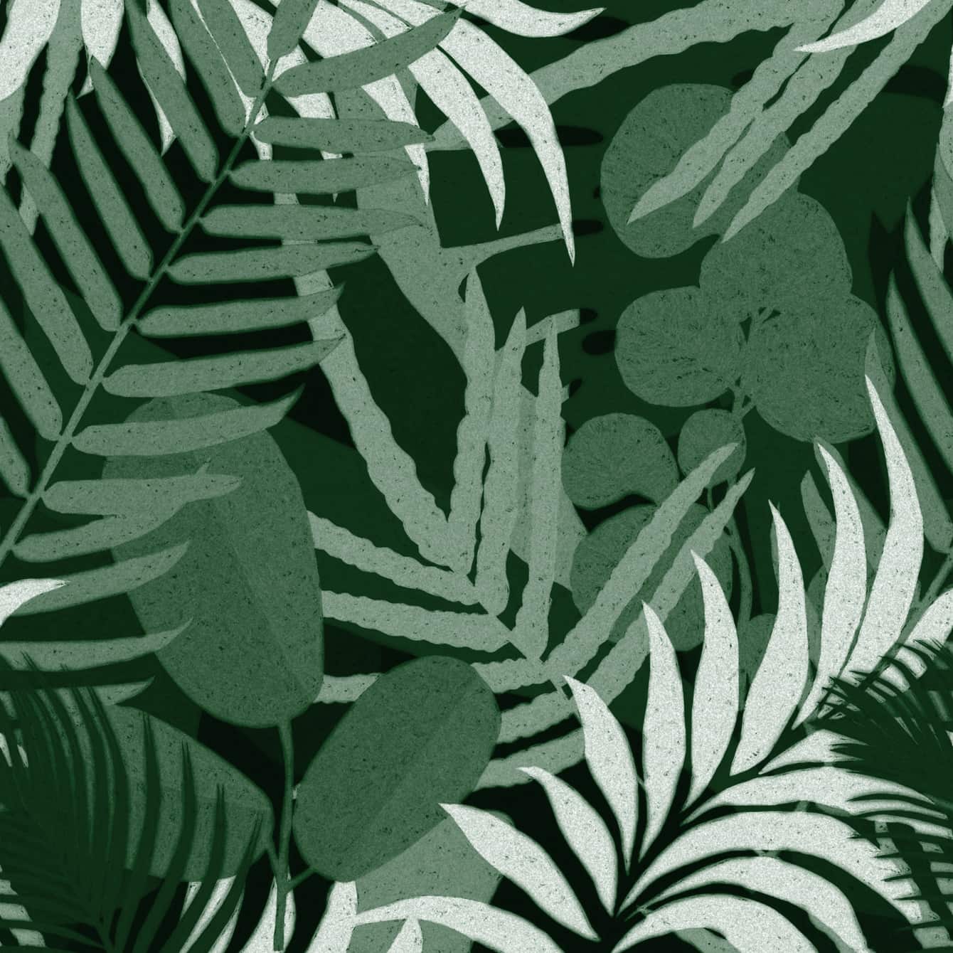 Tapete JARDIN DEL SOL Green-WP20492-MINDTHEGAP-MIND THE GAP Tapete JARDIN DEL SOL Green von MINDTHEGAP aus der Kategorie MIND THE GAP mit der Artikelnummer WP20492