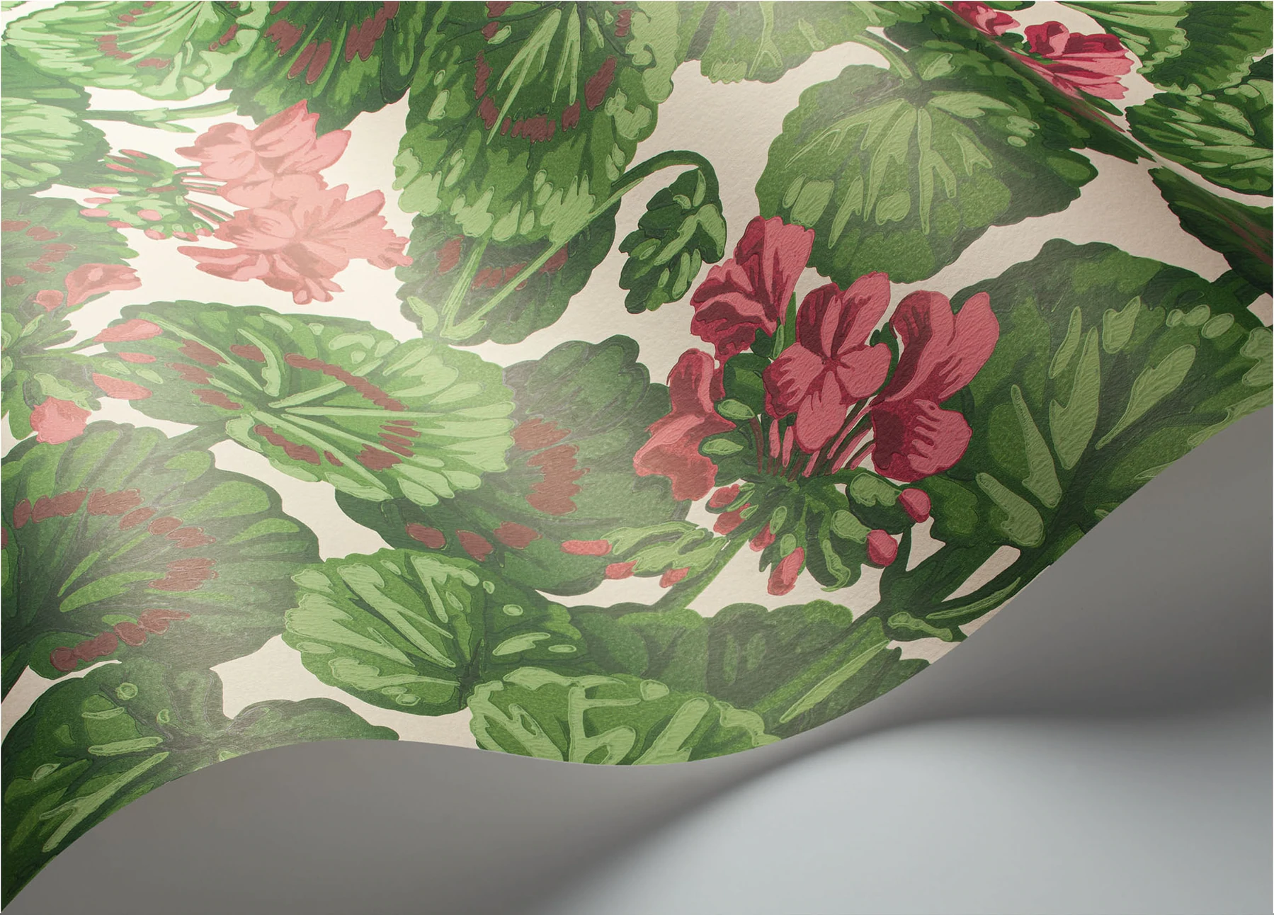 Geranium Tapete - 117/11034 - Cole&Son - Seville-117-11034-Cole&Son-Seville Geranium Tapete - 117/11034 - Cole&Son - Seville von Cole&Son aus der Kategorie Seville mit der Artikelnummer 117-11034