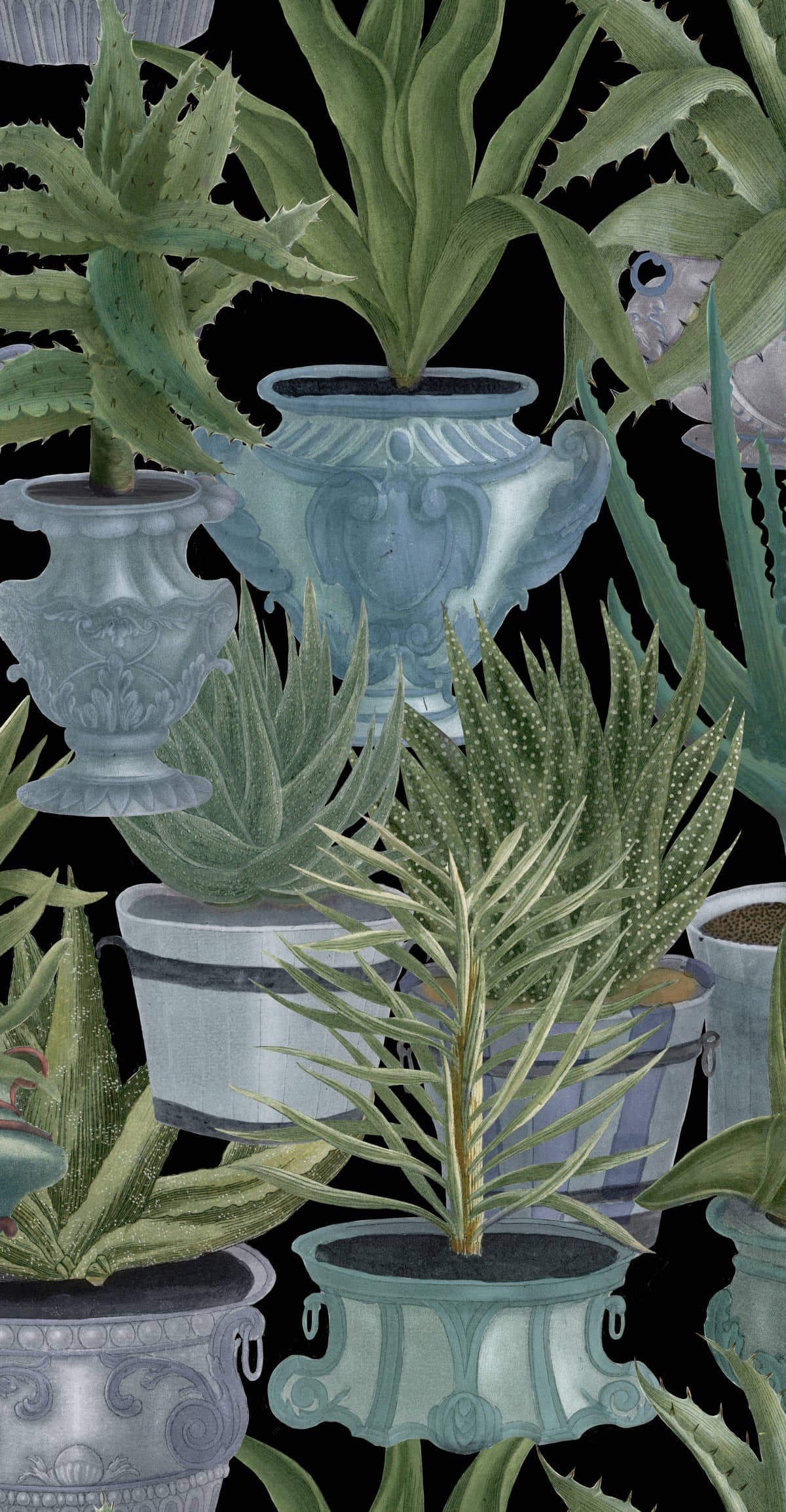 Tapete ECHEVERIA - Mindthegap-WP20163-MINDTHEGAP-MIND THE GAP Tapete ECHEVERIA - Mindthegap von MINDTHEGAP aus der Kategorie MIND THE GAP mit der Artikelnummer WP20163