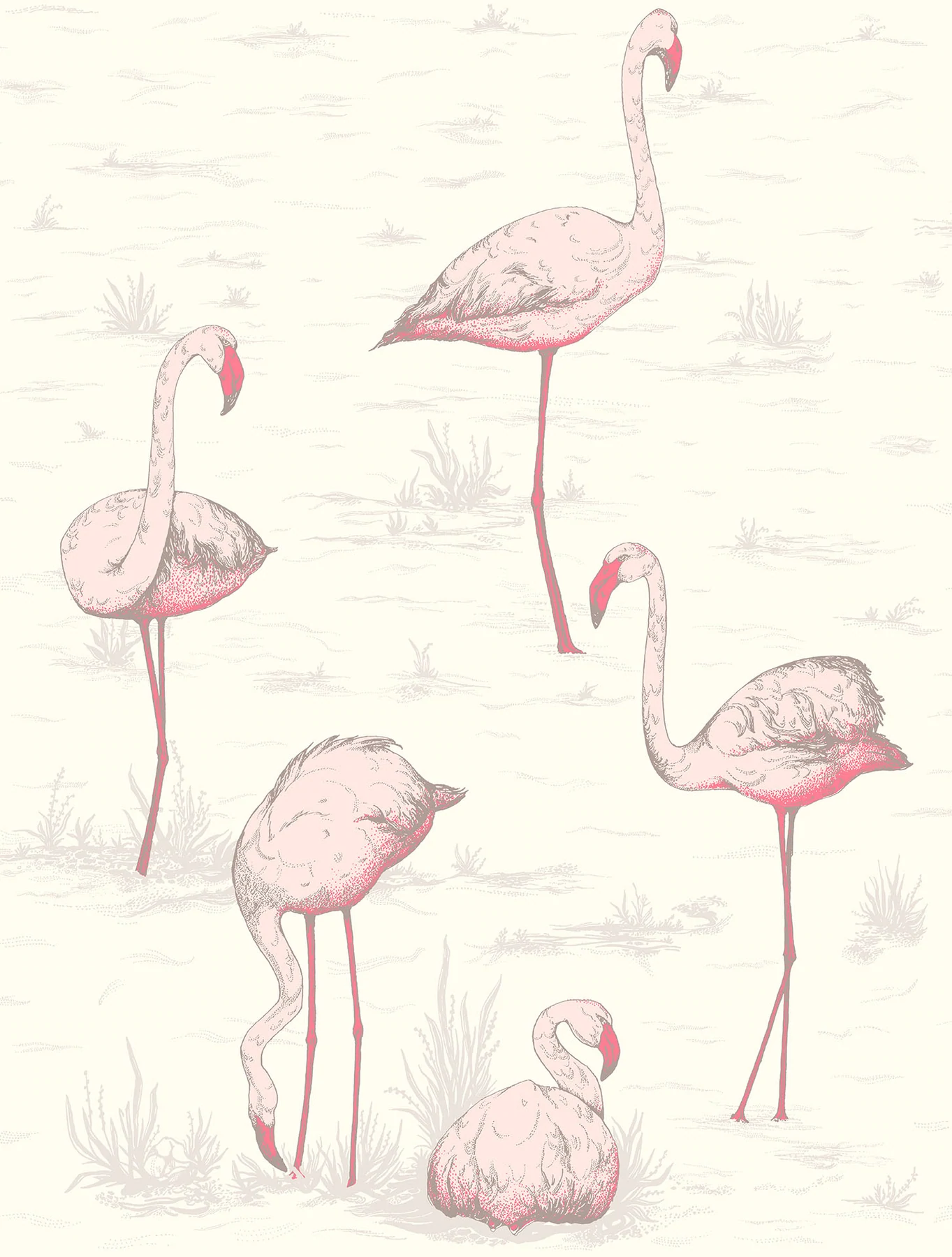 Flamingos Tapete - 95/8045 - Cole&Son - The Contemporary Collection