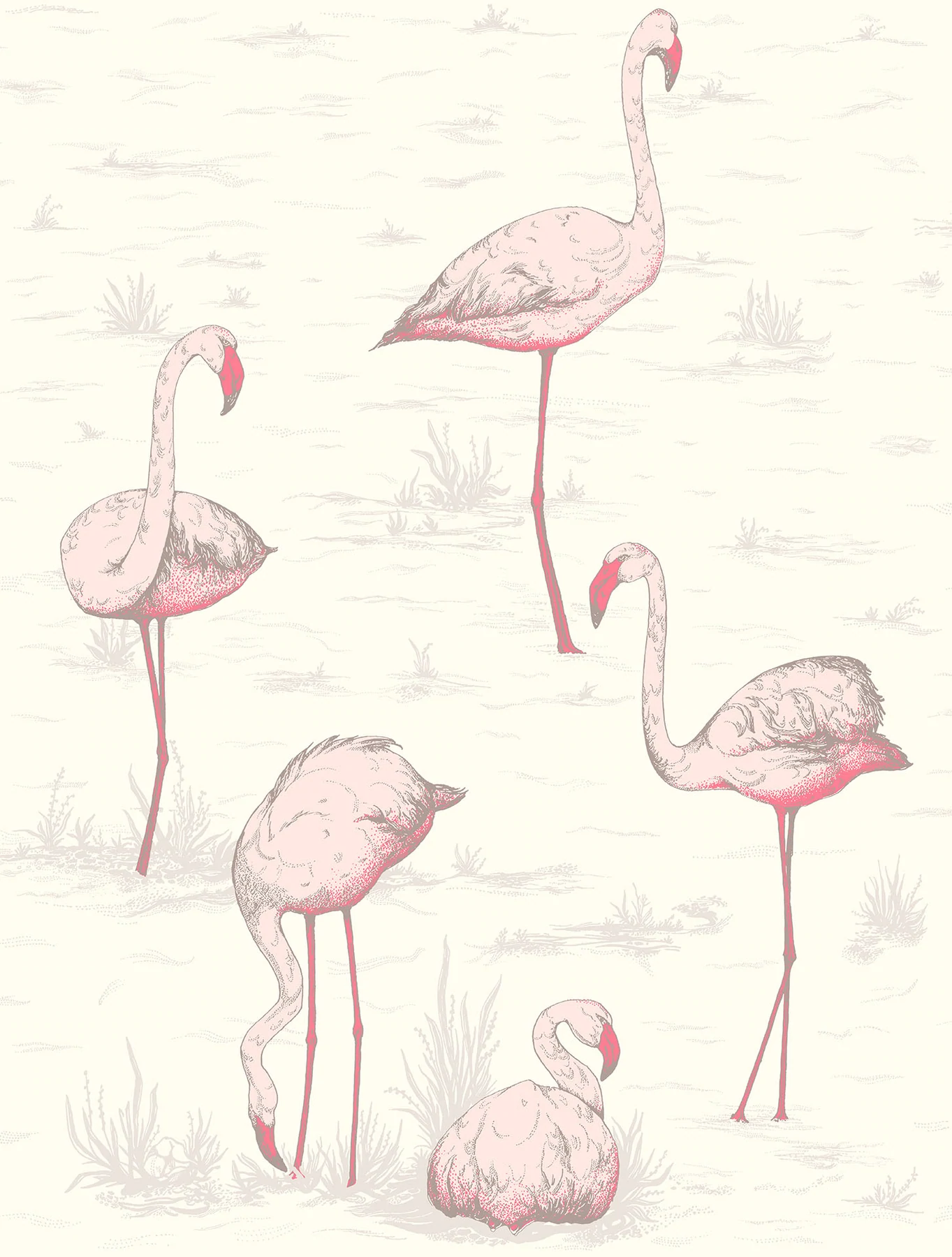 Flamingos Tapete - 95/8045 - Cole&Son - The Contemporary Collection von Cole&Son aus der Kategorie The Contemporary Collection mit der Artikelnummer 95-8045