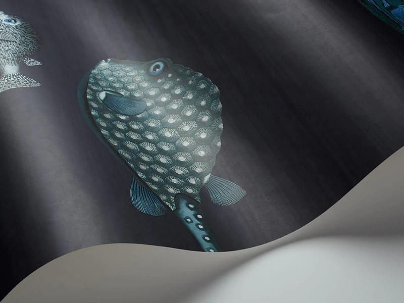 Acquario Tapete - 114/16032 - Cole&Son - Fornasetti Senza Tempo-114-16032-Cole&Son-Fornasetti Selection Acquario Tapete - 114/16032 - Cole&Son - Fornasetti Senza Tempo von Cole&Son aus der Kategorie Fornasetti Selection mit der Artikelnummer 114-16032